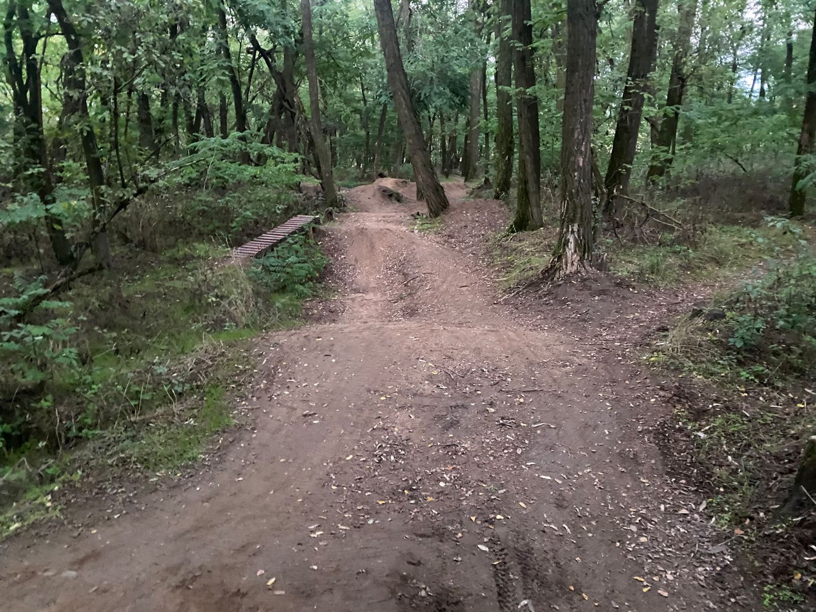Zajíc trail photo 3