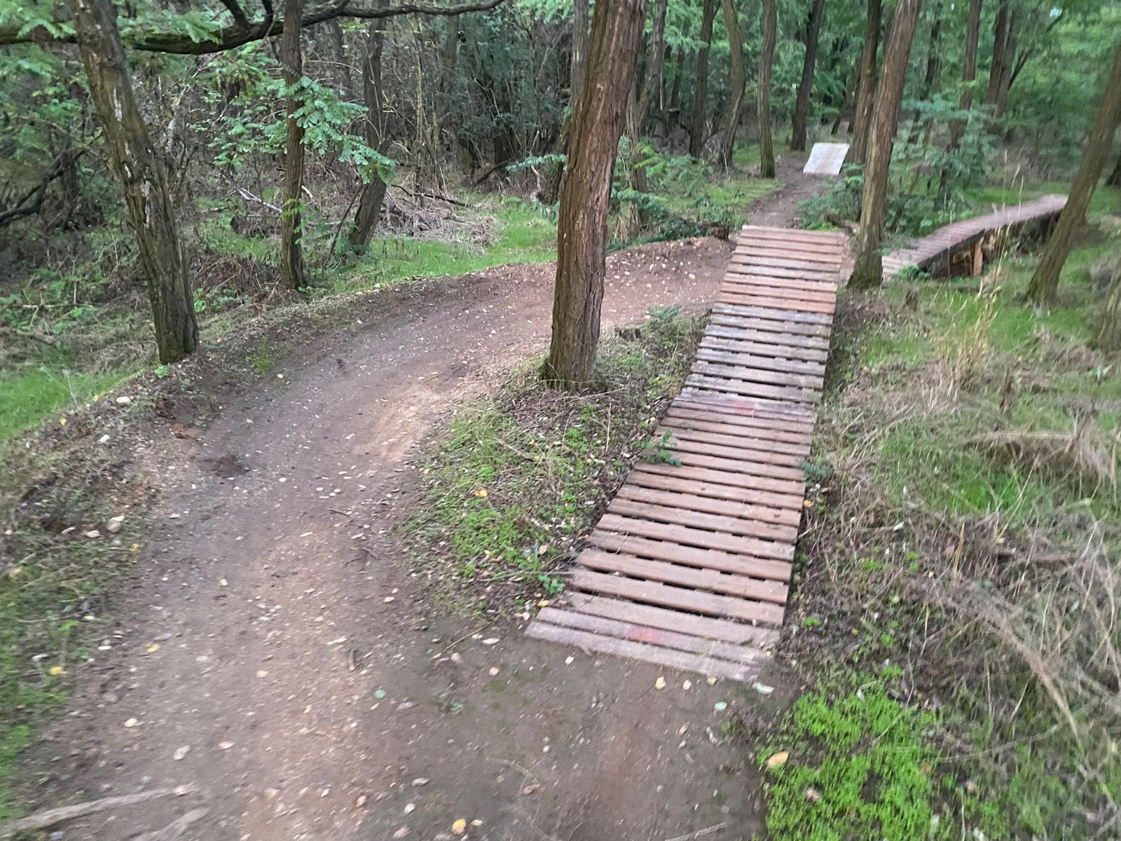 Zajíc trail photo 2