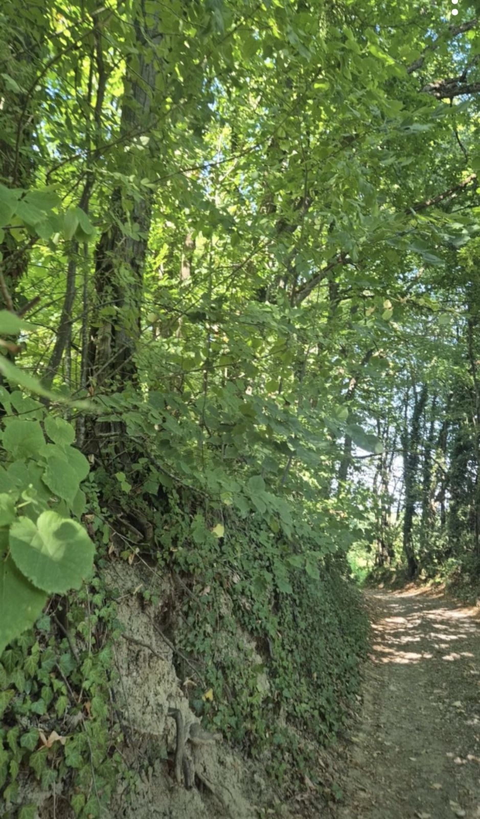Milanovačko Kamenje trail photo 1