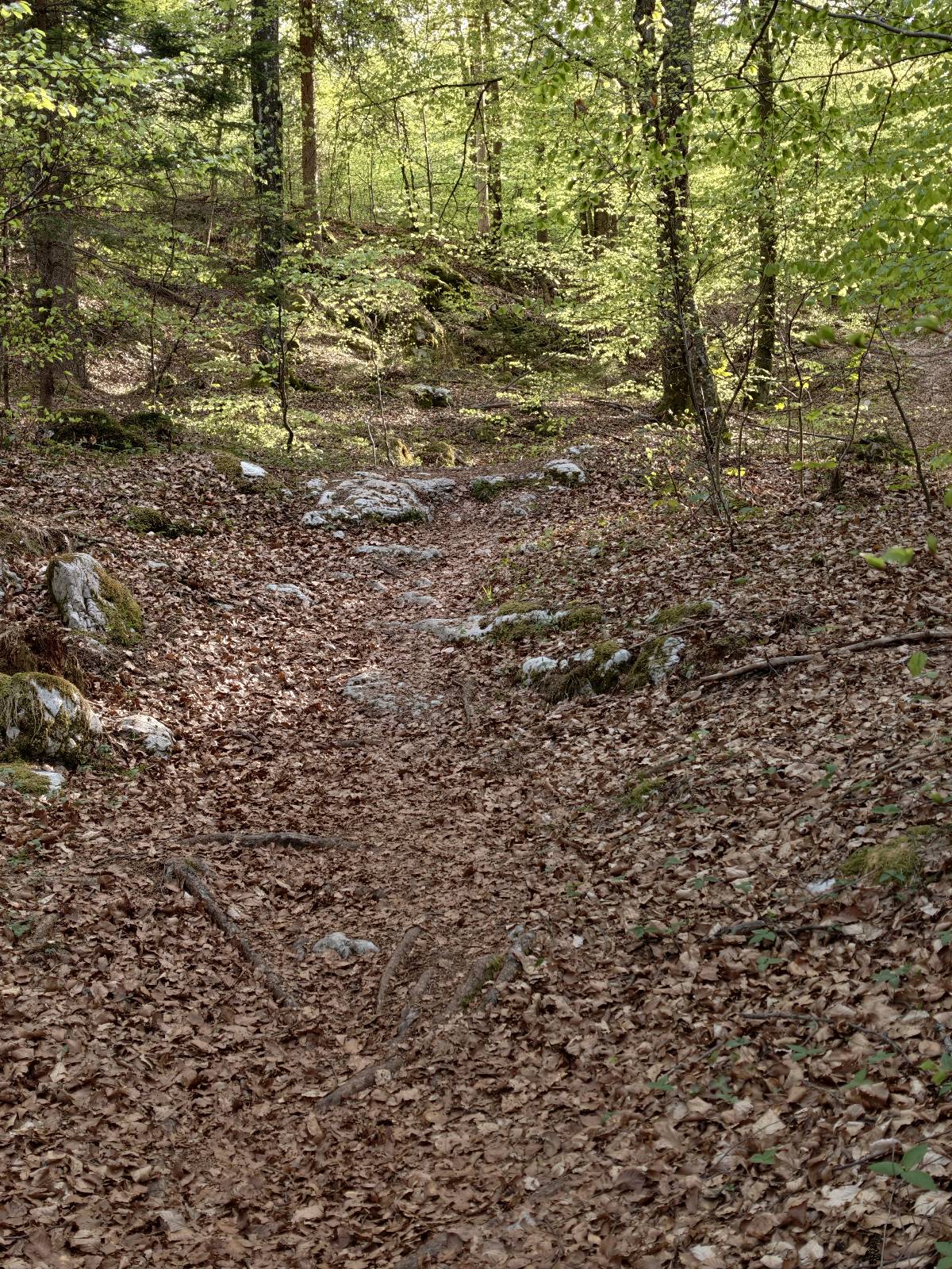 Geiß-Steig trail photo 5
