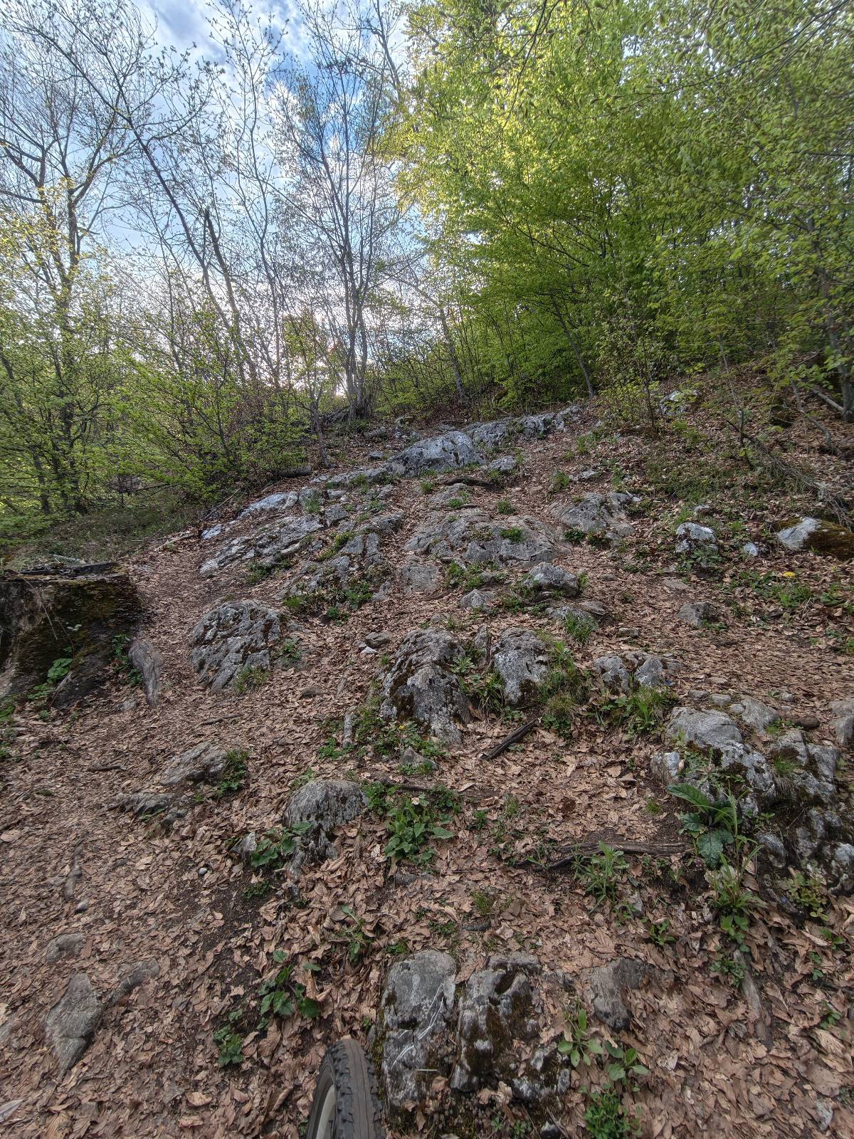 Geiß-Steig trail photo 2