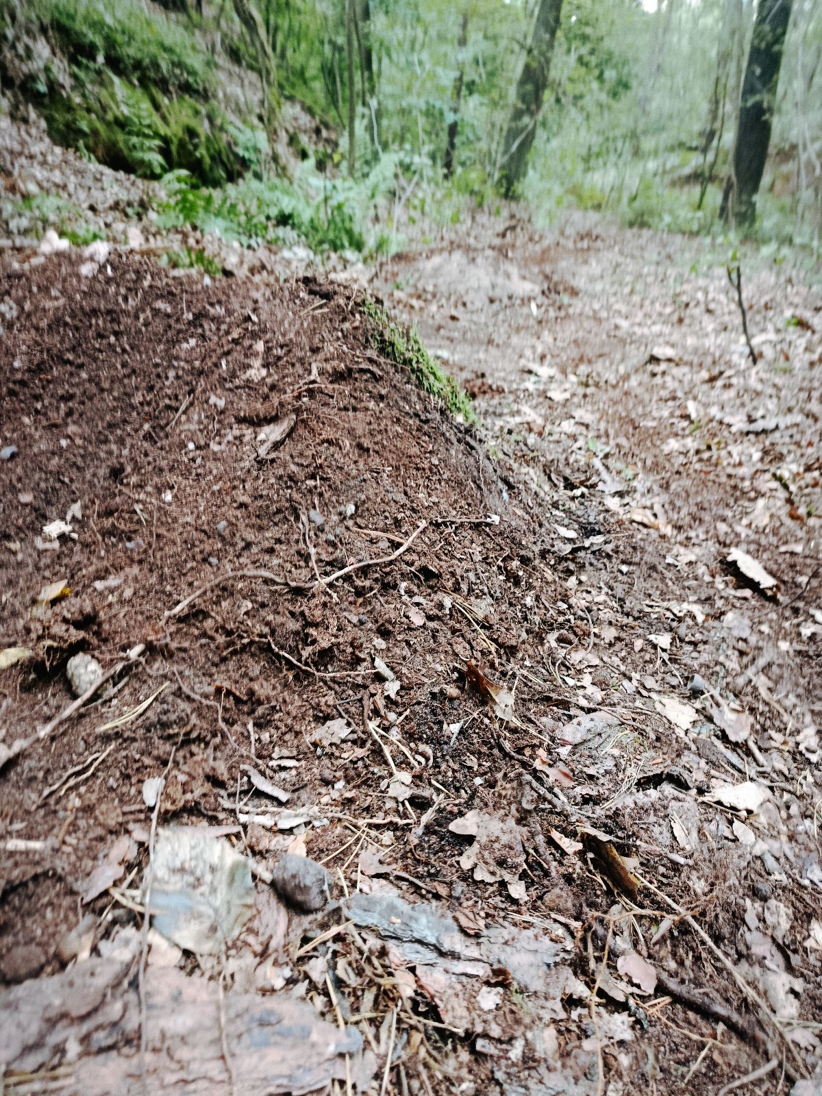 Blast Trail trail photo 1