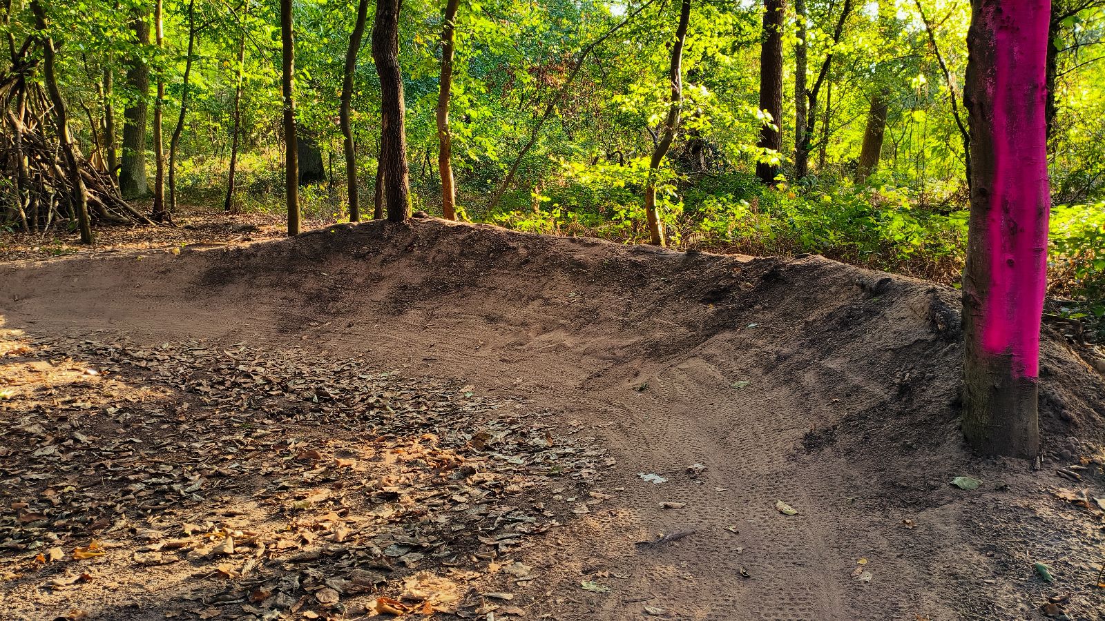 Dirt Track Bauschheim trail photo 3
