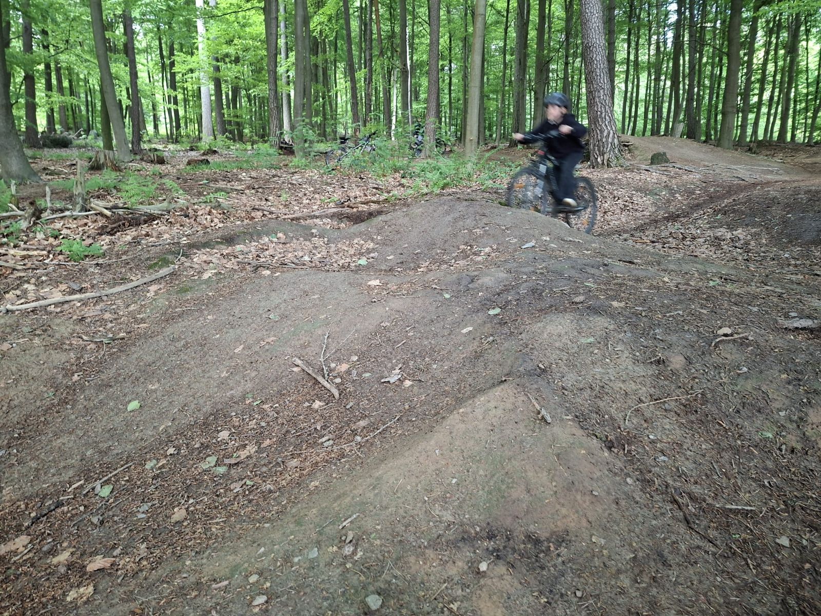 Table trail photo 4