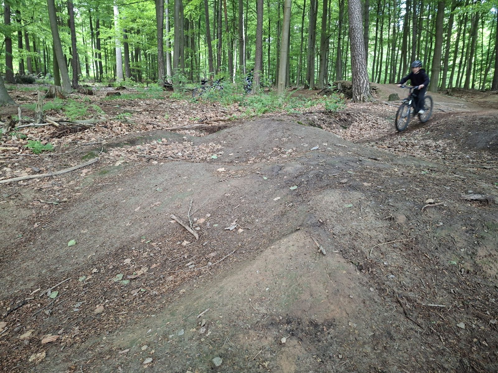 Table trail photo 1