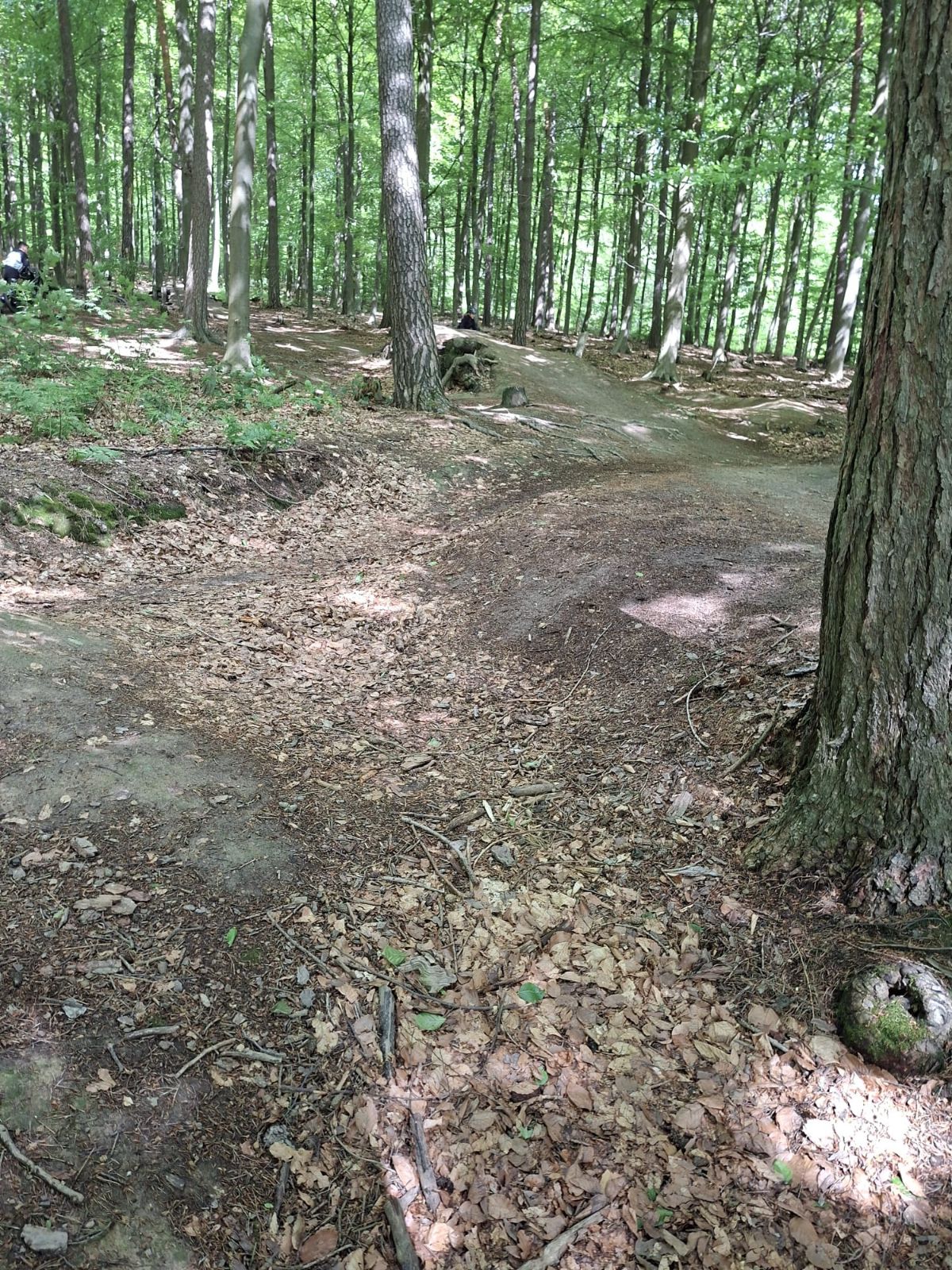 Table trail photo 2