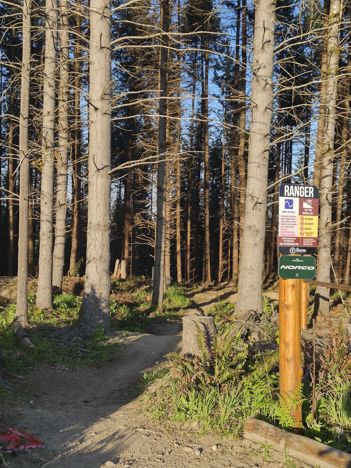 Ranger trail photo 1