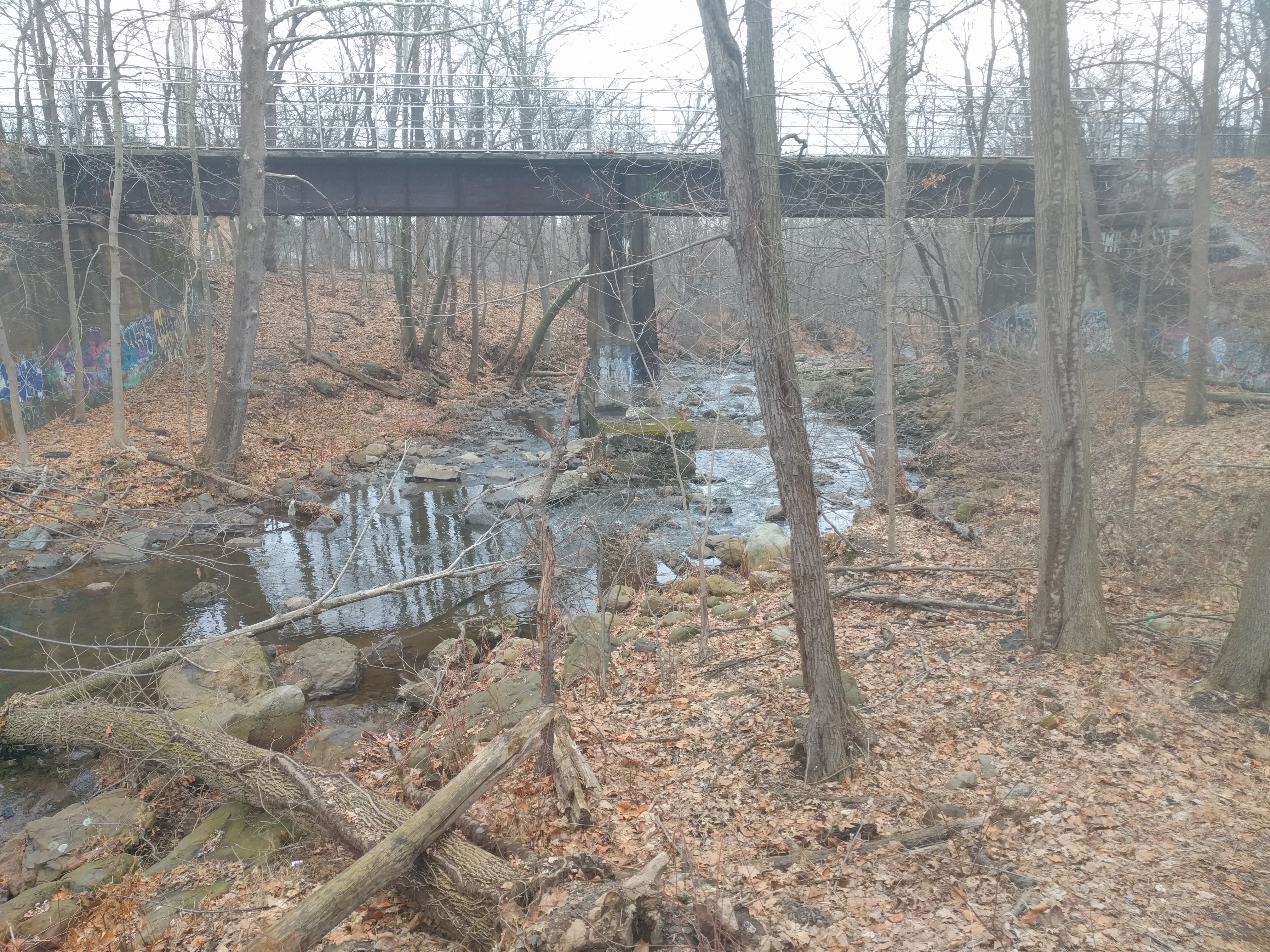 West Essex Trail trail photo 1