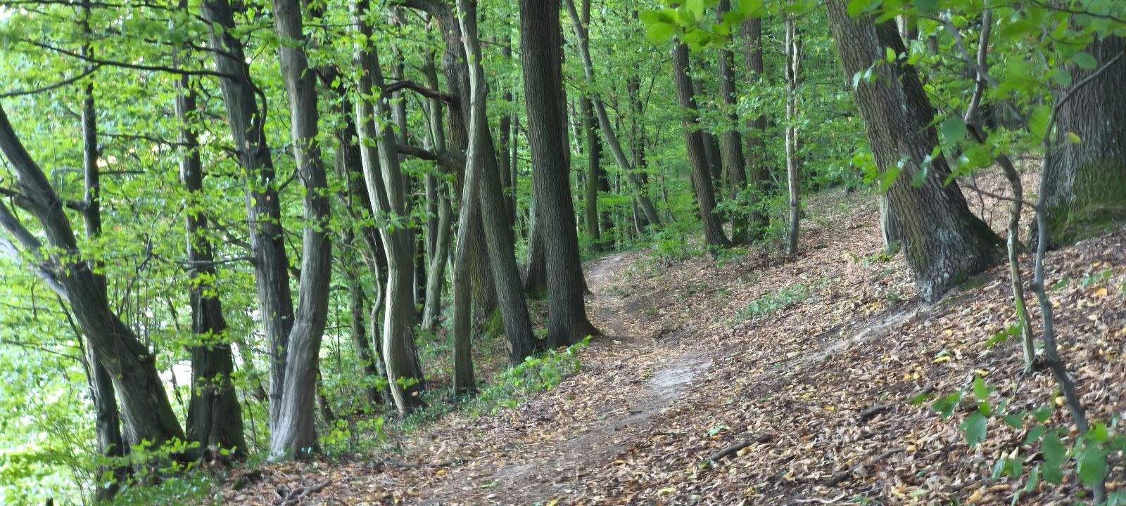 Small Kanaš Trail trail photo 2
