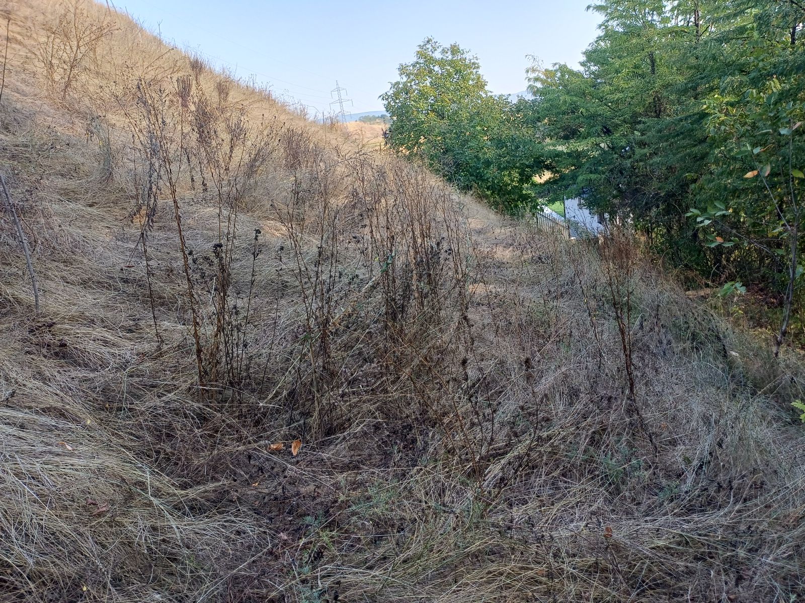 Spiky Trail trail photo 1