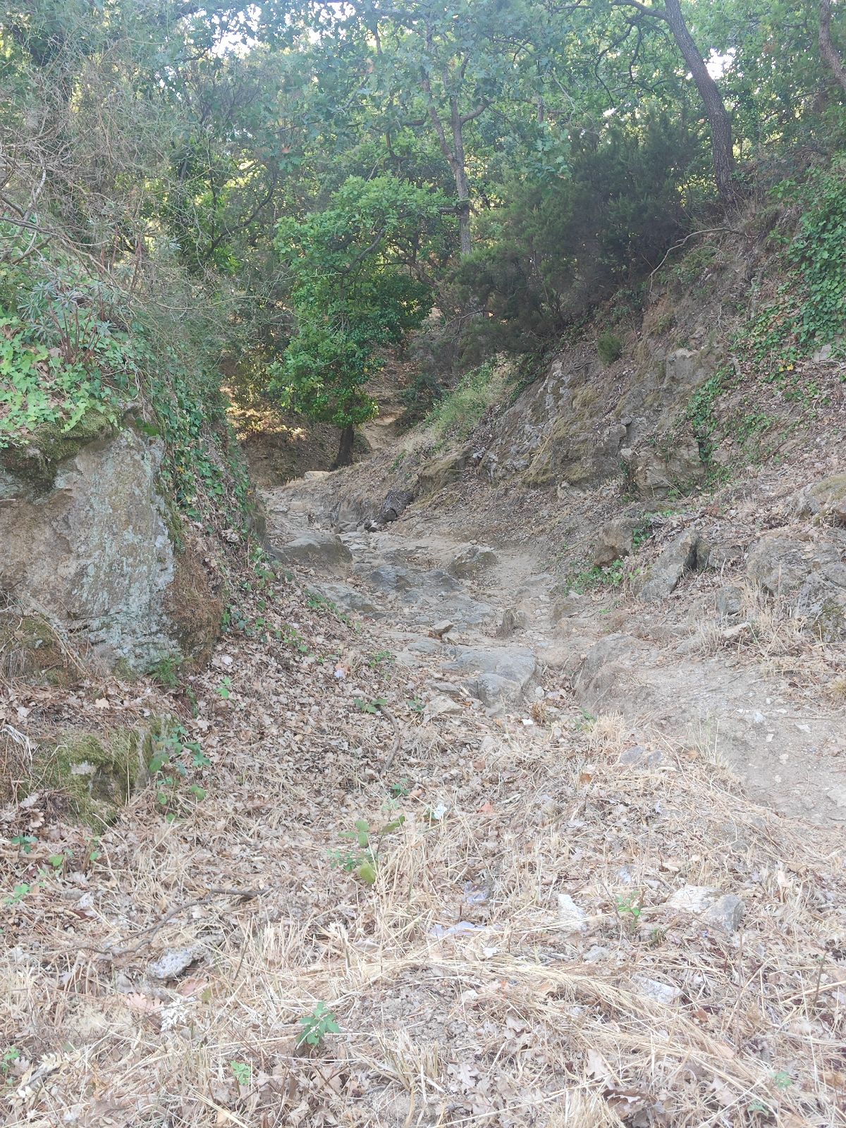 Unnamed Trail trail photo 1