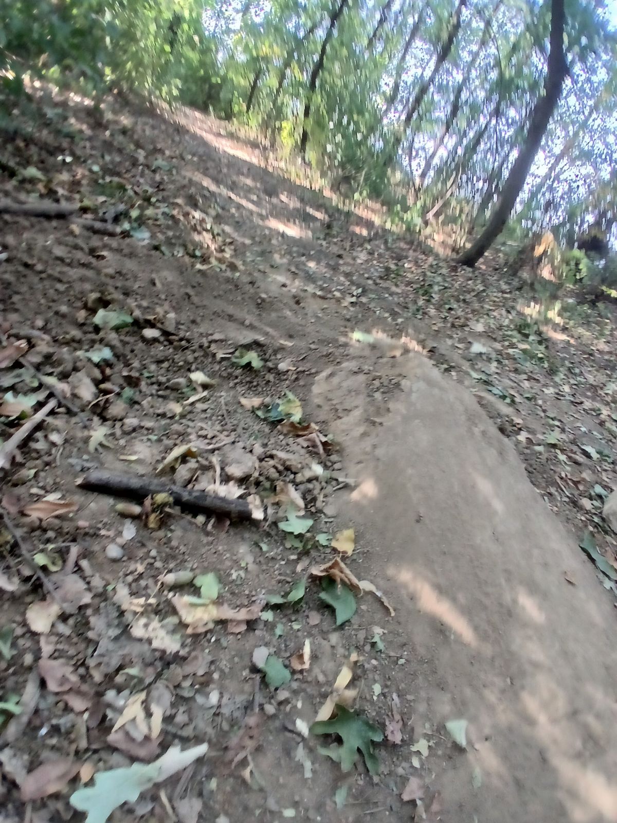 Koviljuše Trail trail photo 4