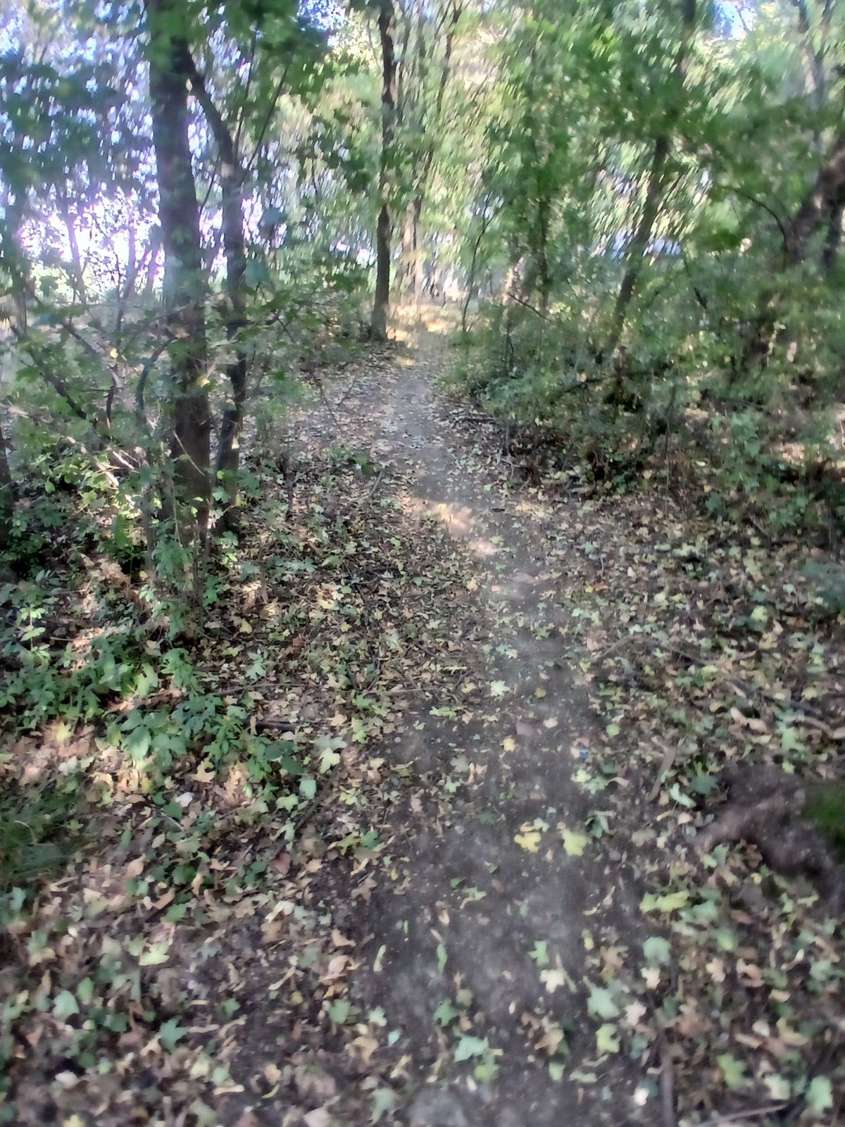 Koviljuše Trail trail photo 3