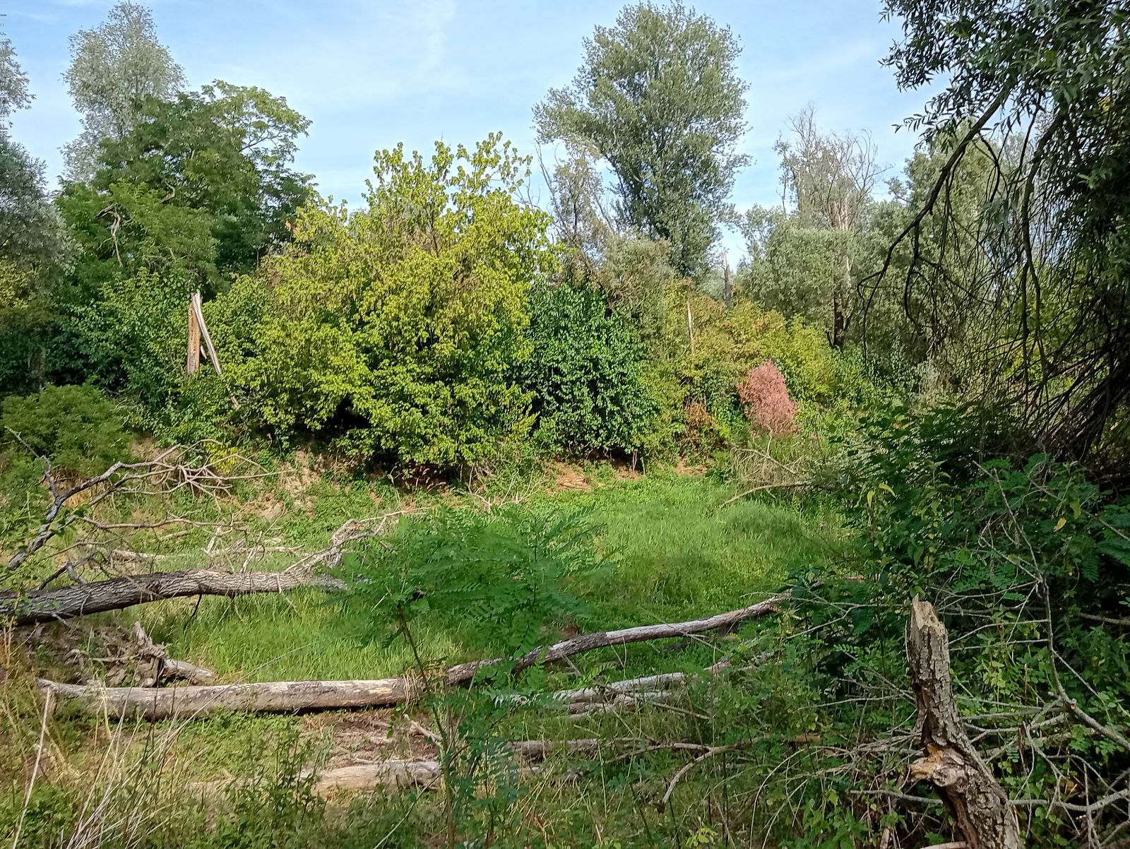 No Name trail photo 5