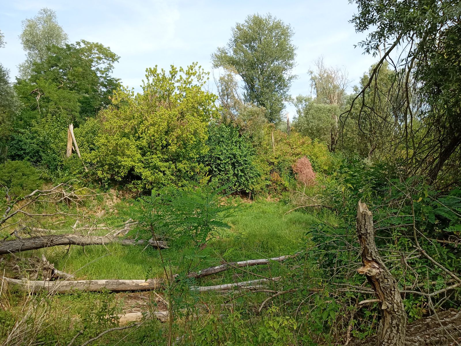 No Name trail photo 4