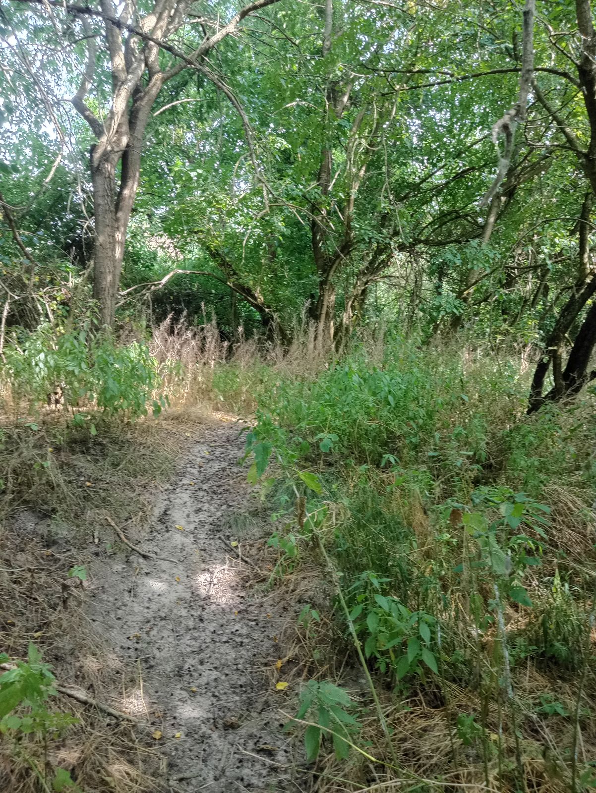 No Name trail photo 1