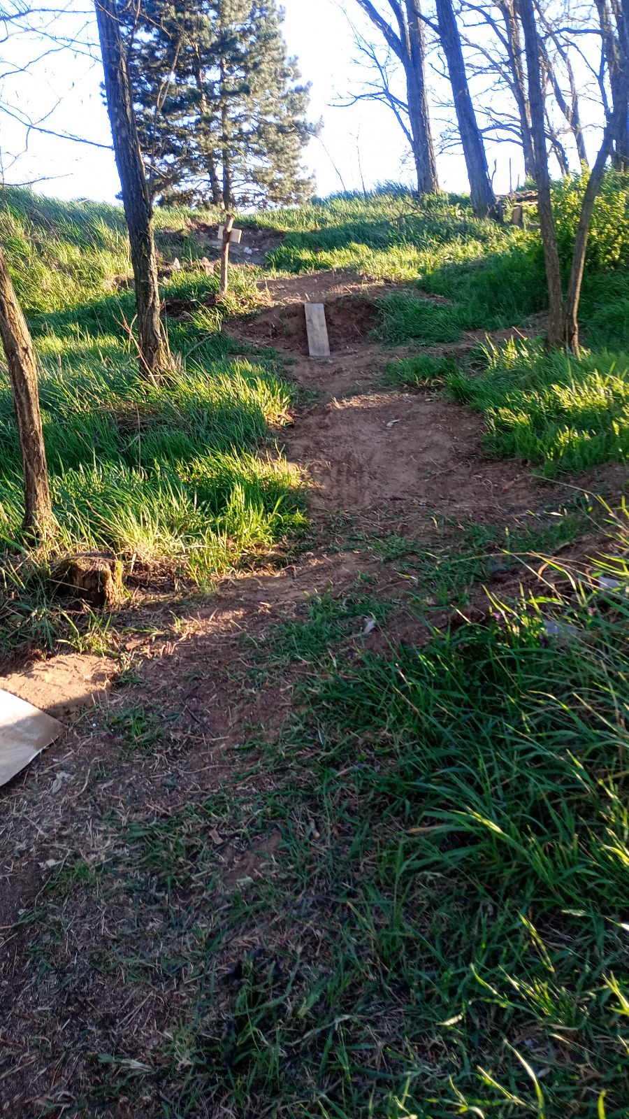 Gravity Forest trail photo 2