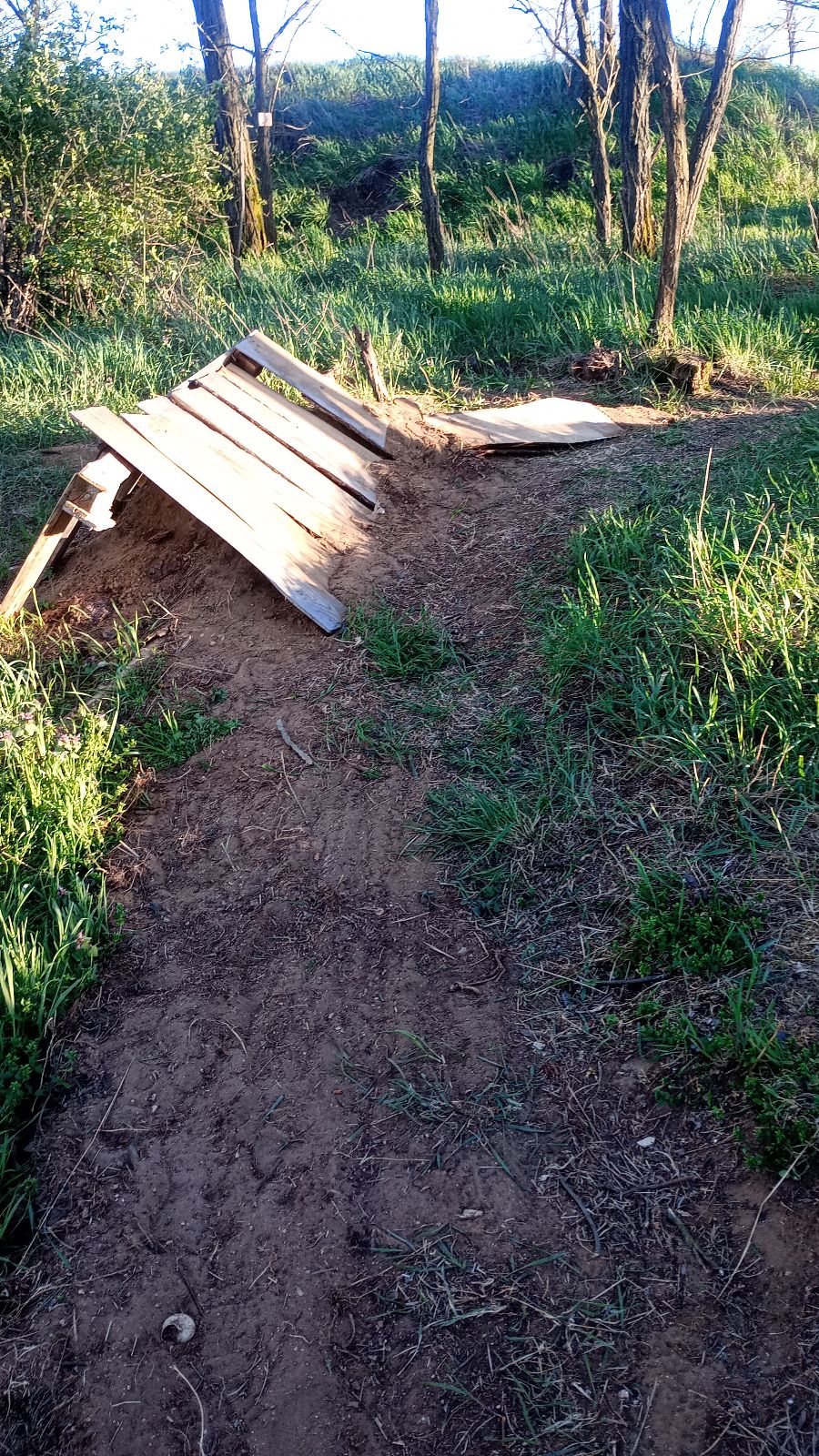 Gravity Forest trail photo 1