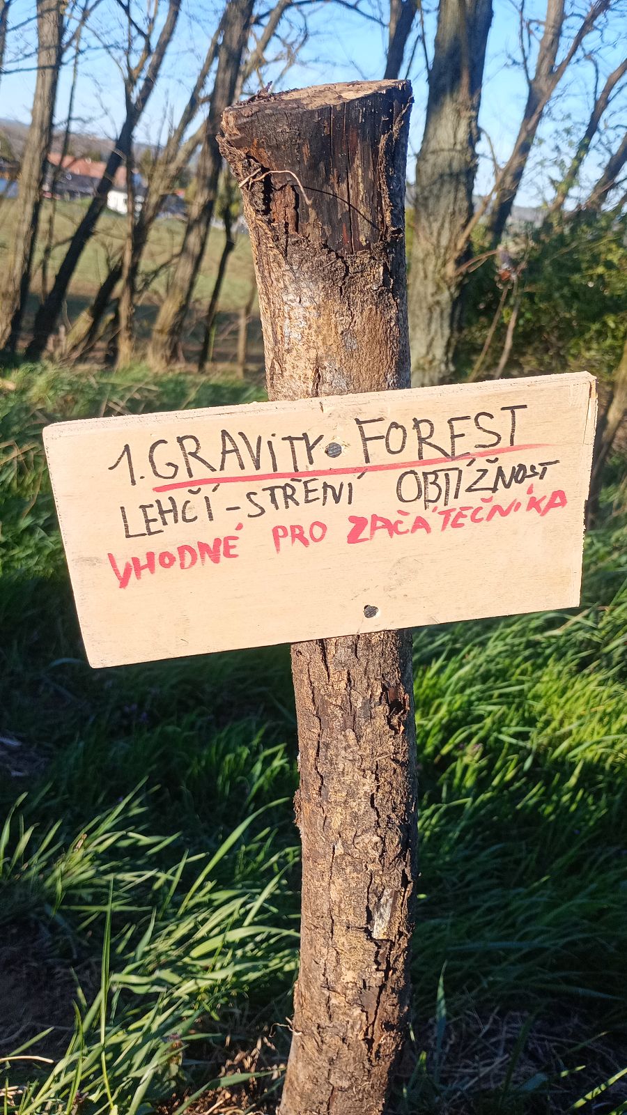 Gravity Forest trail photo 3