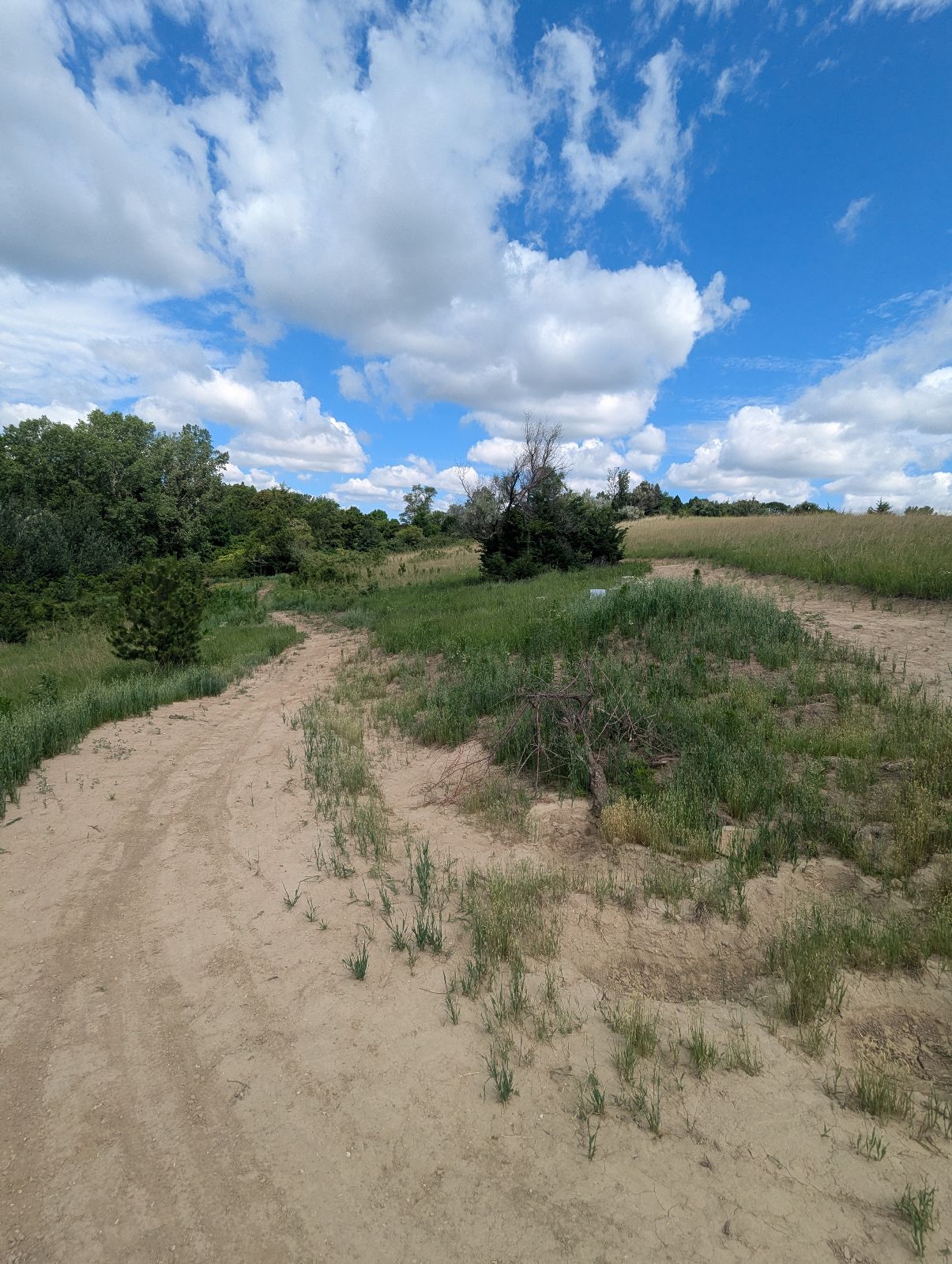 Prairie DH trail photo 2