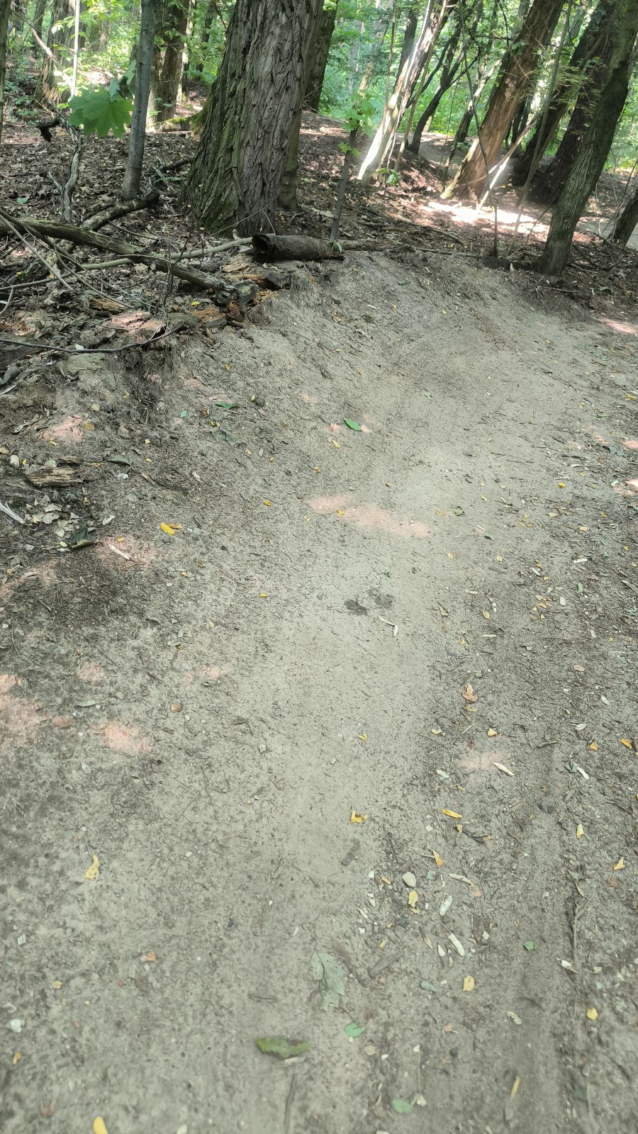 Lasek Aniolowski trail 1 trail photo 4