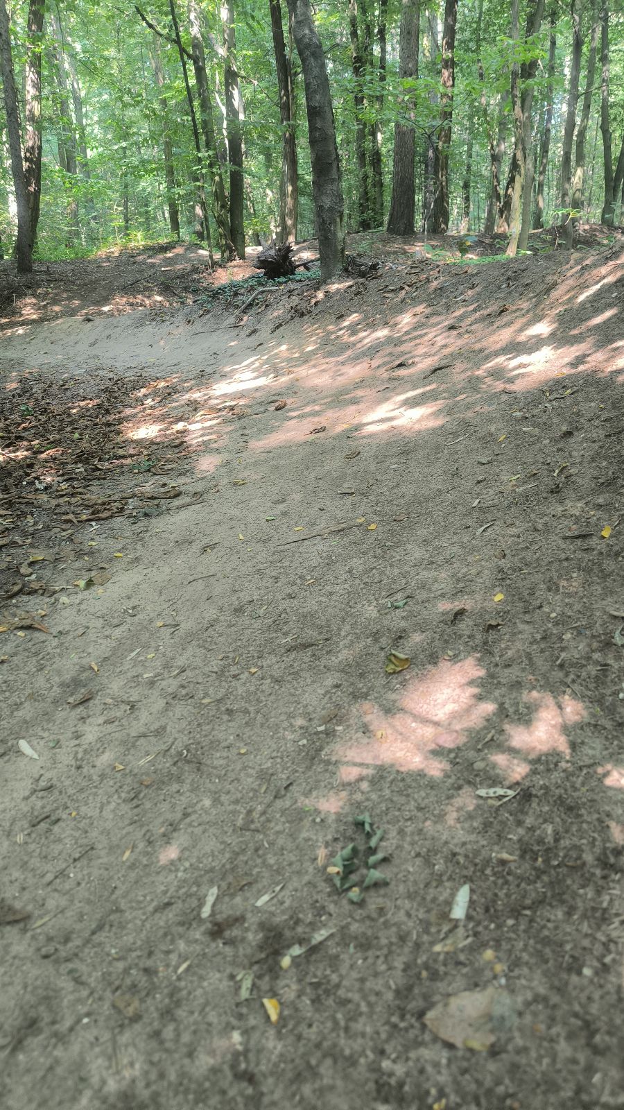 Lasek Aniolowski trail 1 trail photo 3