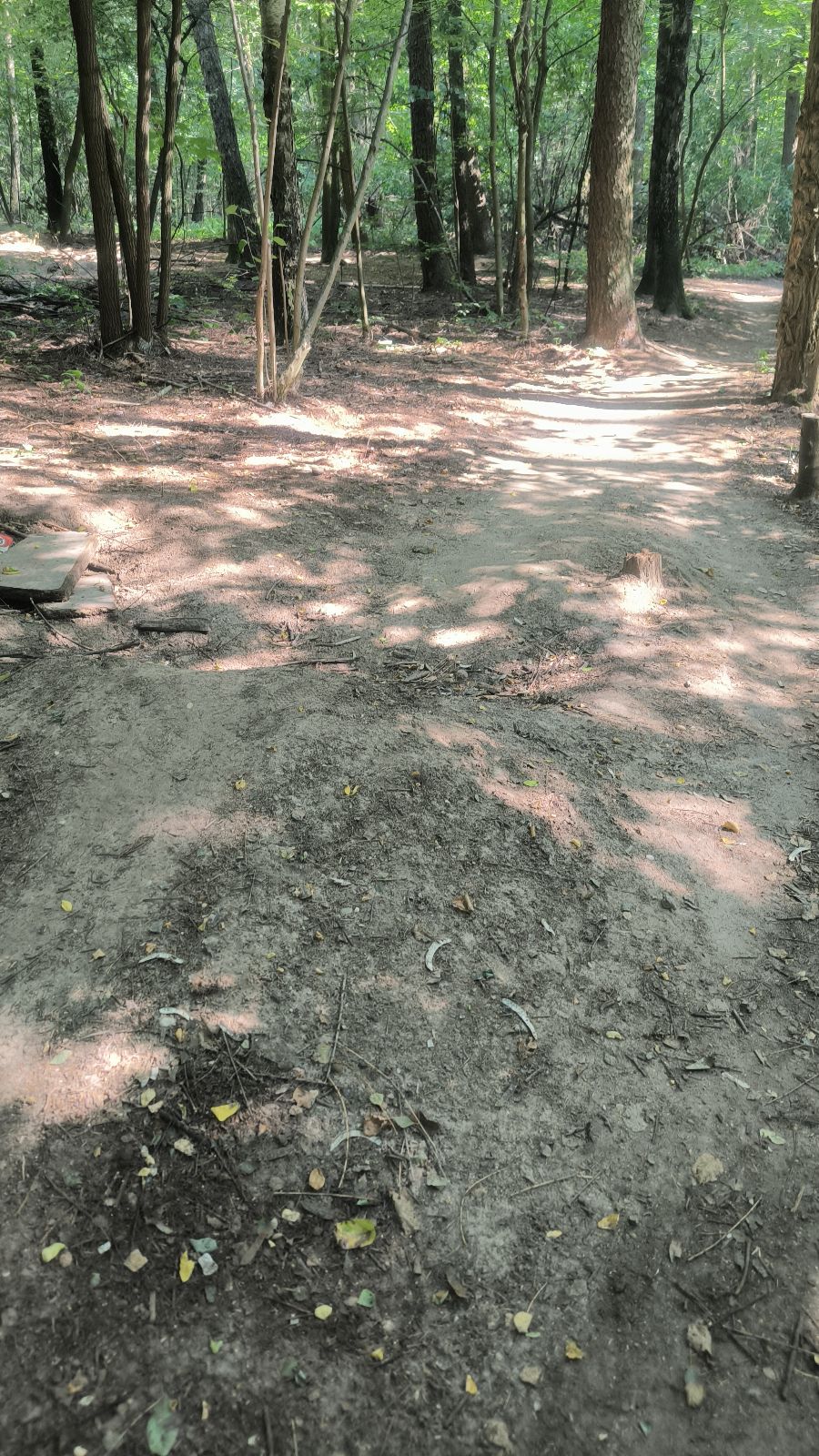 Lasek Aniolowski trail 1 trail photo 5