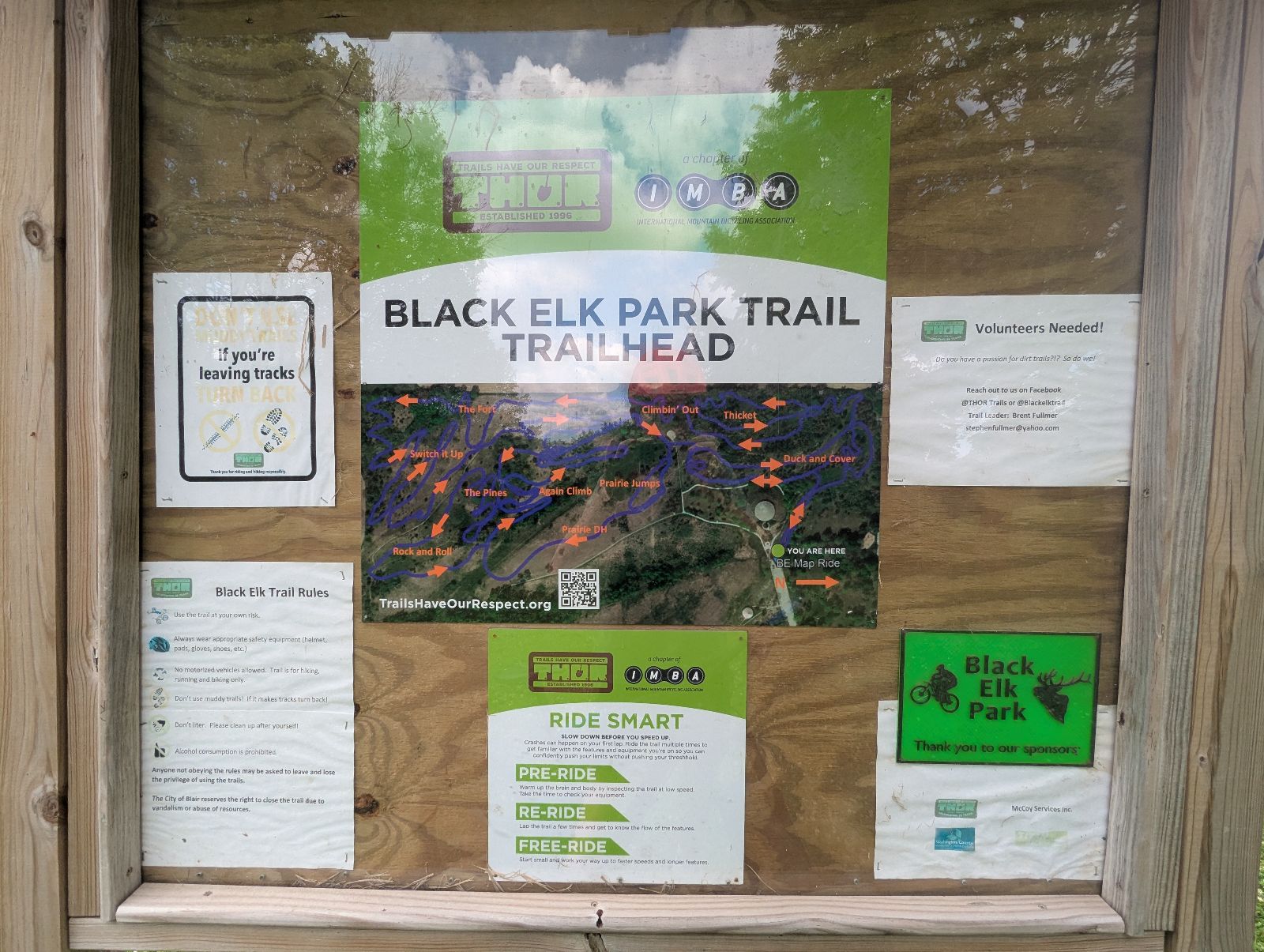 The Pines trail photo 3