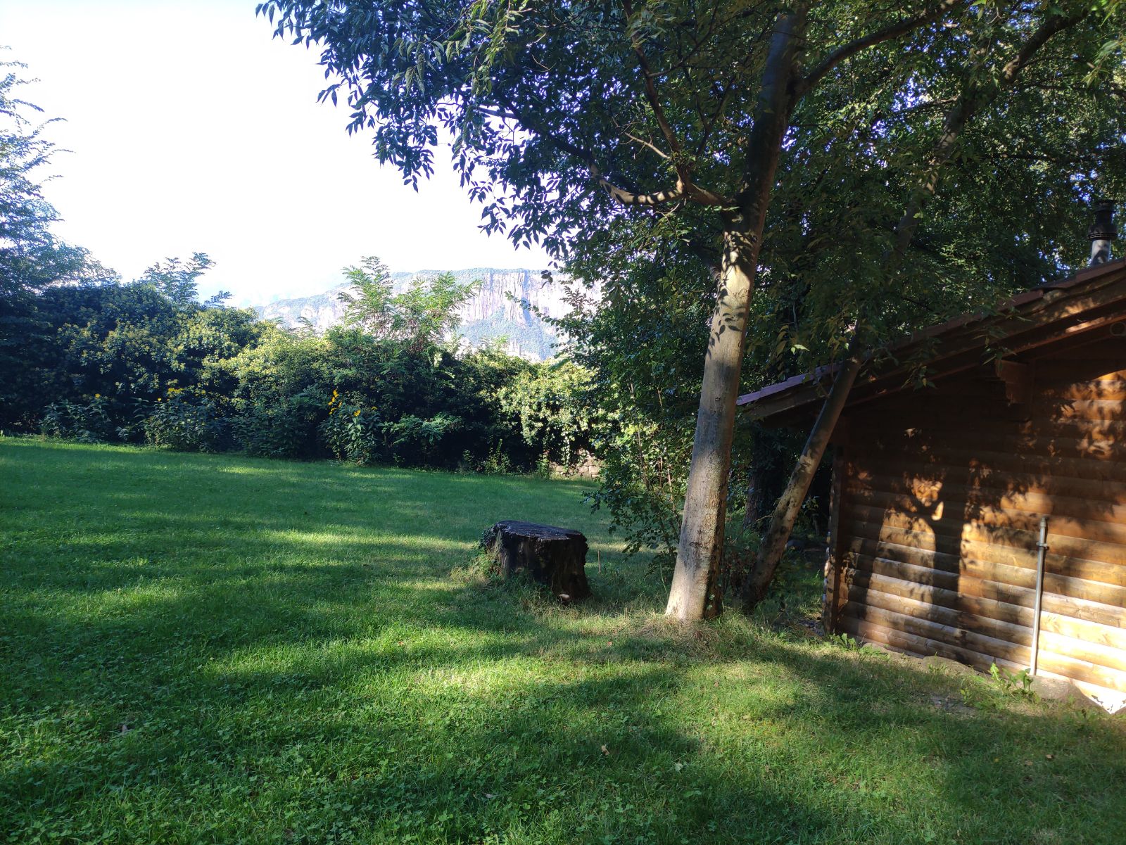 Pinara Thompson MTB Trail trail photo 5