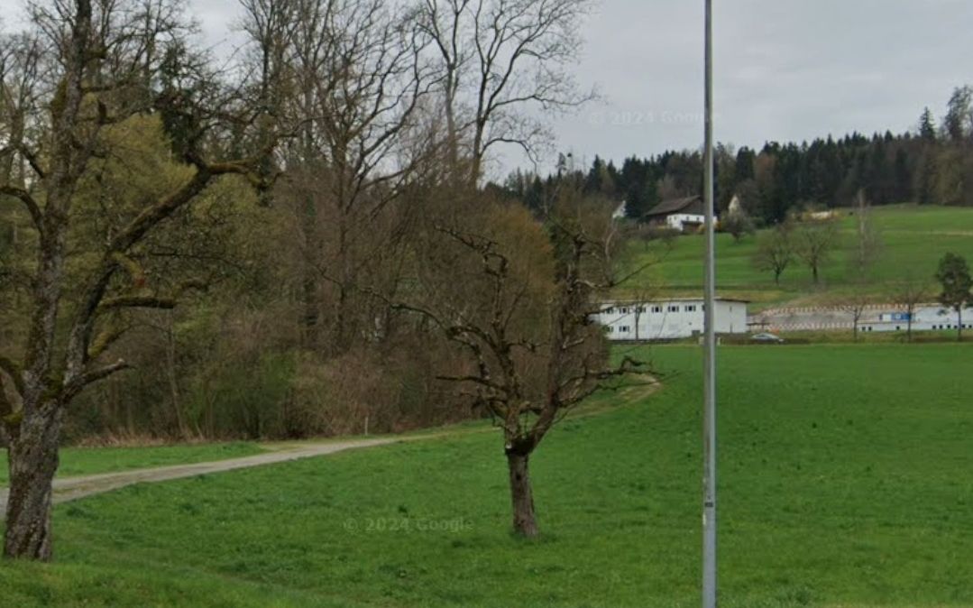 Im Brunnenhölzli trail photo 1