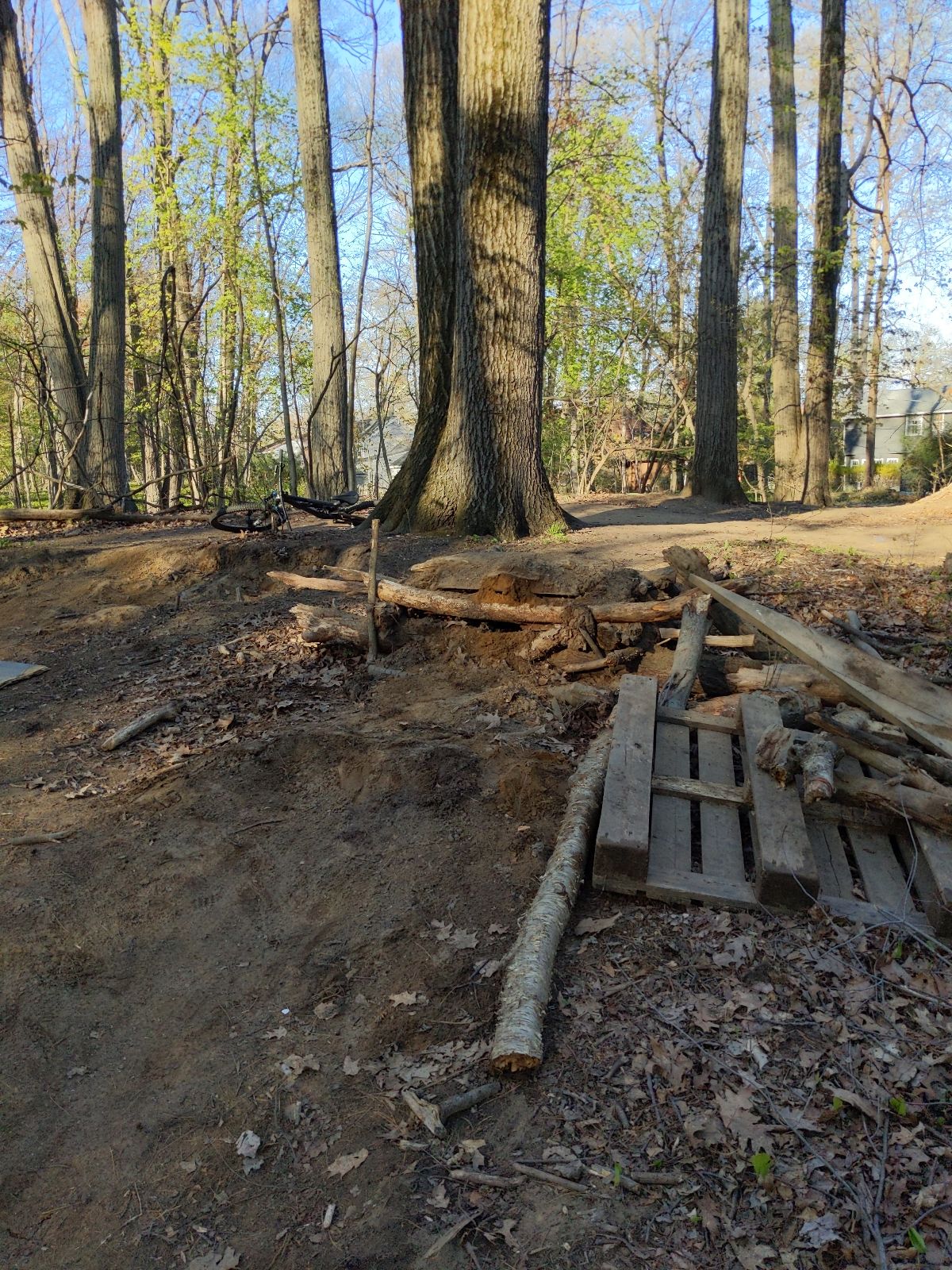 Pine St Pump Track And Jumps trail photo 1