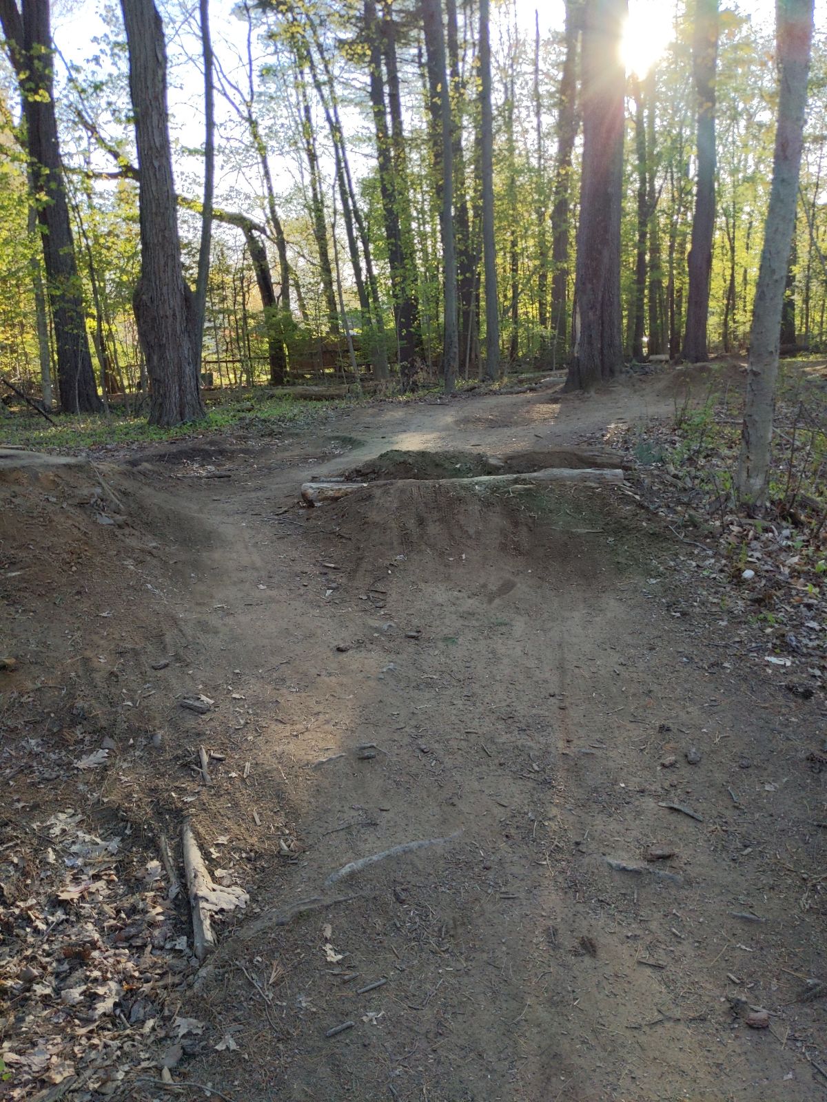 Pine St Pump Track And Jumps trail photo 2