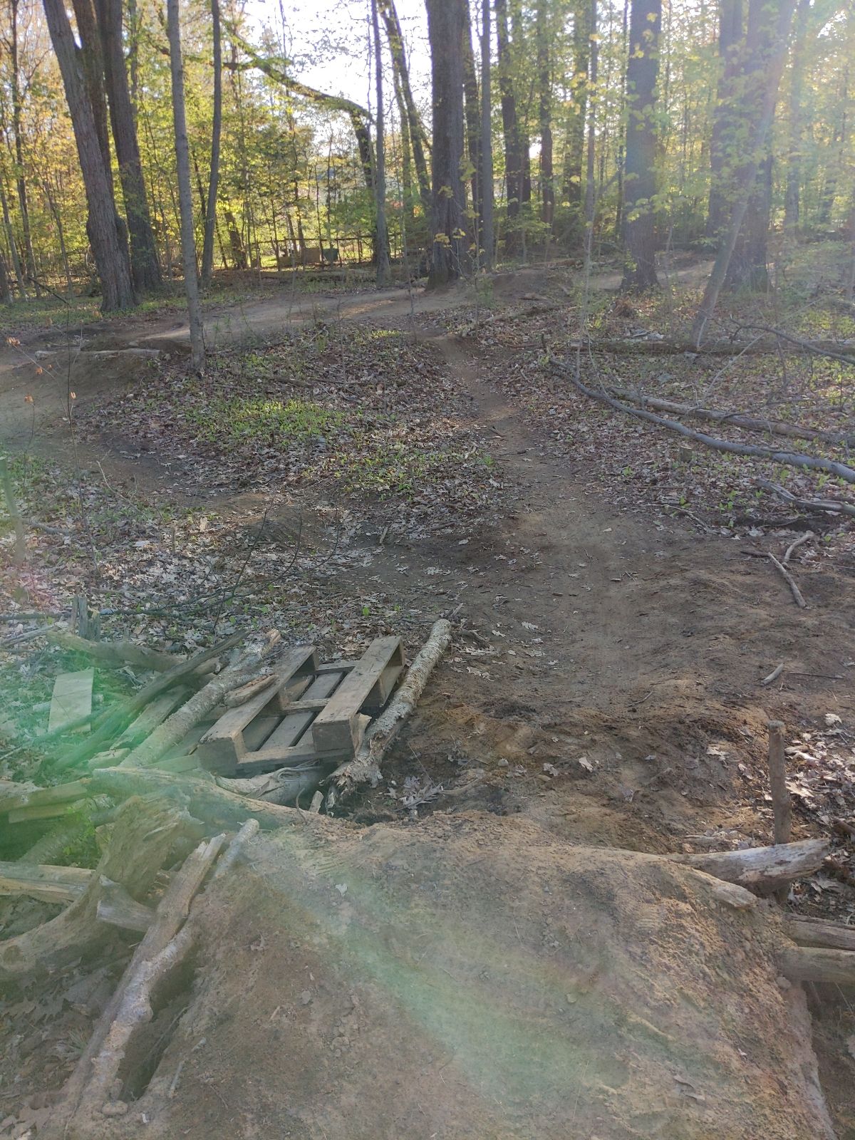 Pine St Pump Track And Jumps trail photo 5