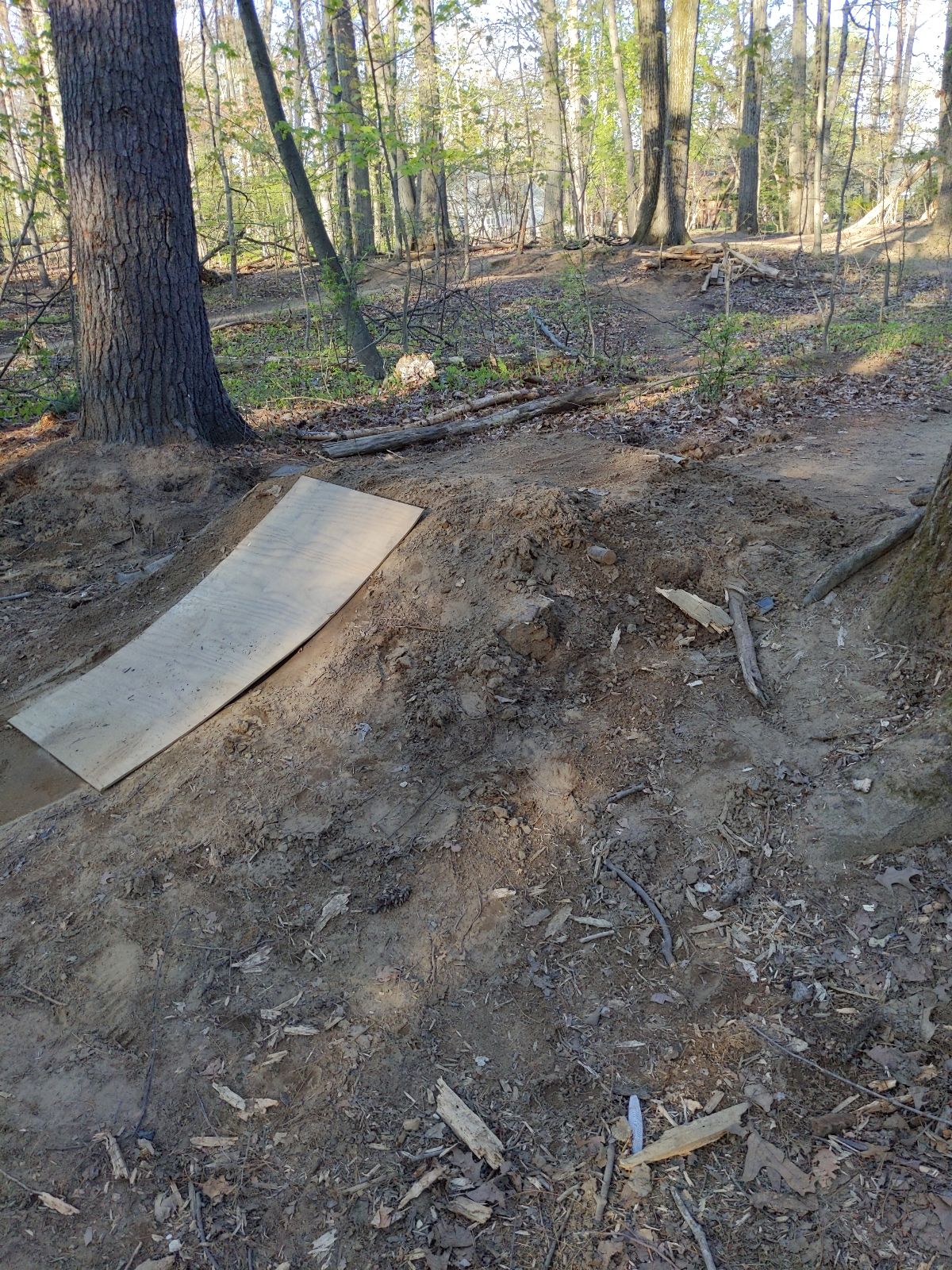 Pine St Pump Track And Jumps trail photo 3