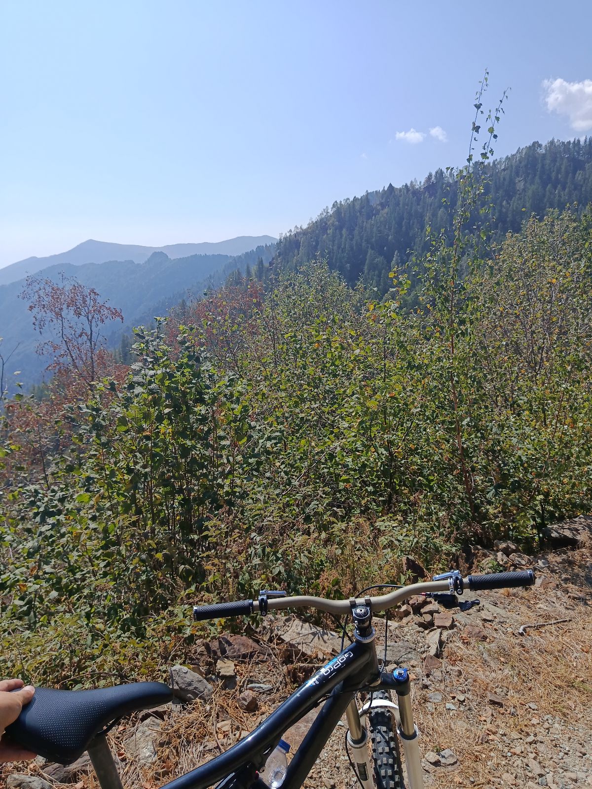 Reis trail photo 3