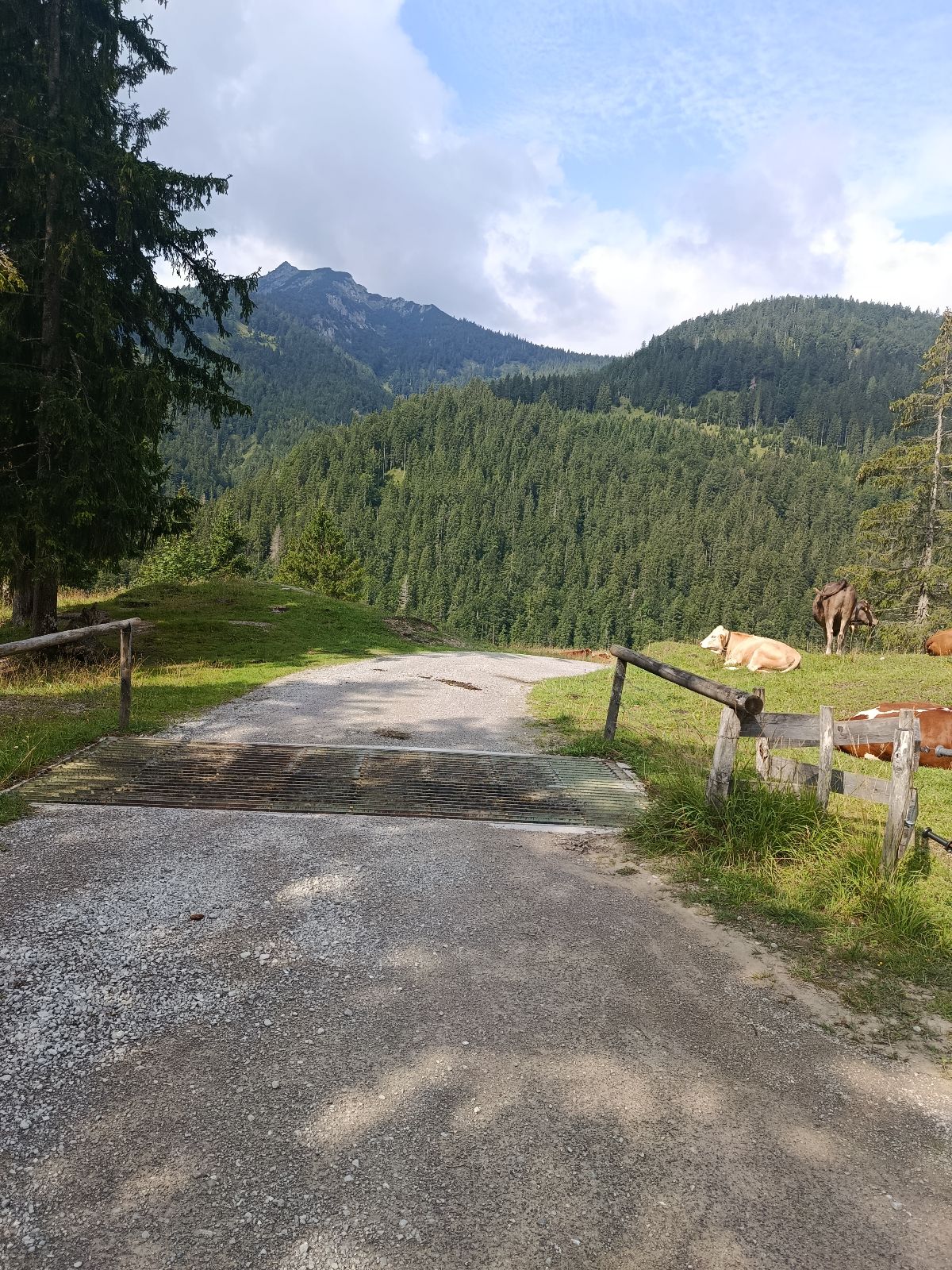 MTB Erz-Herzog-Johann Tour trail photo 4