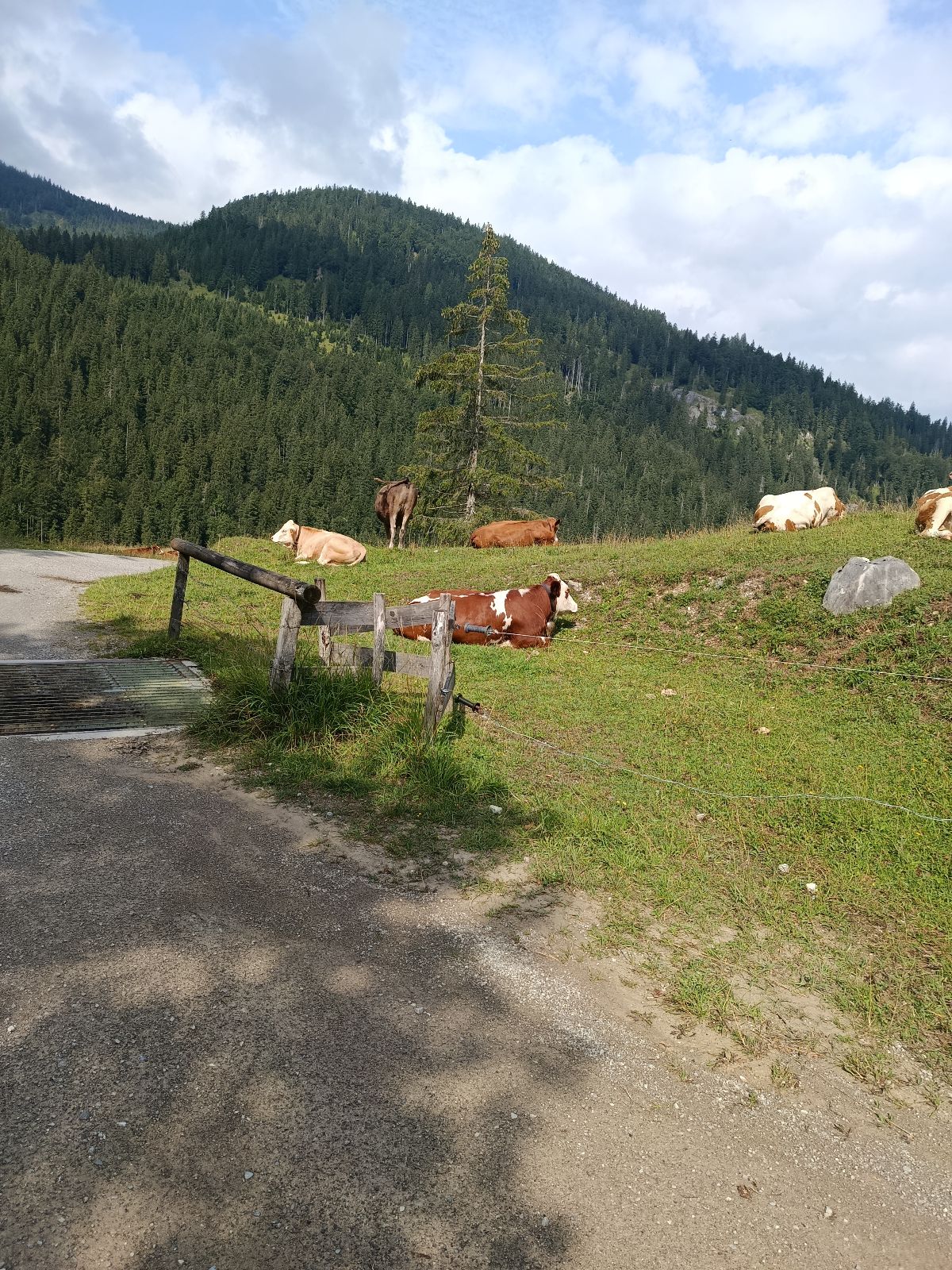 MTB Erz-Herzog-Johann Tour trail photo 2