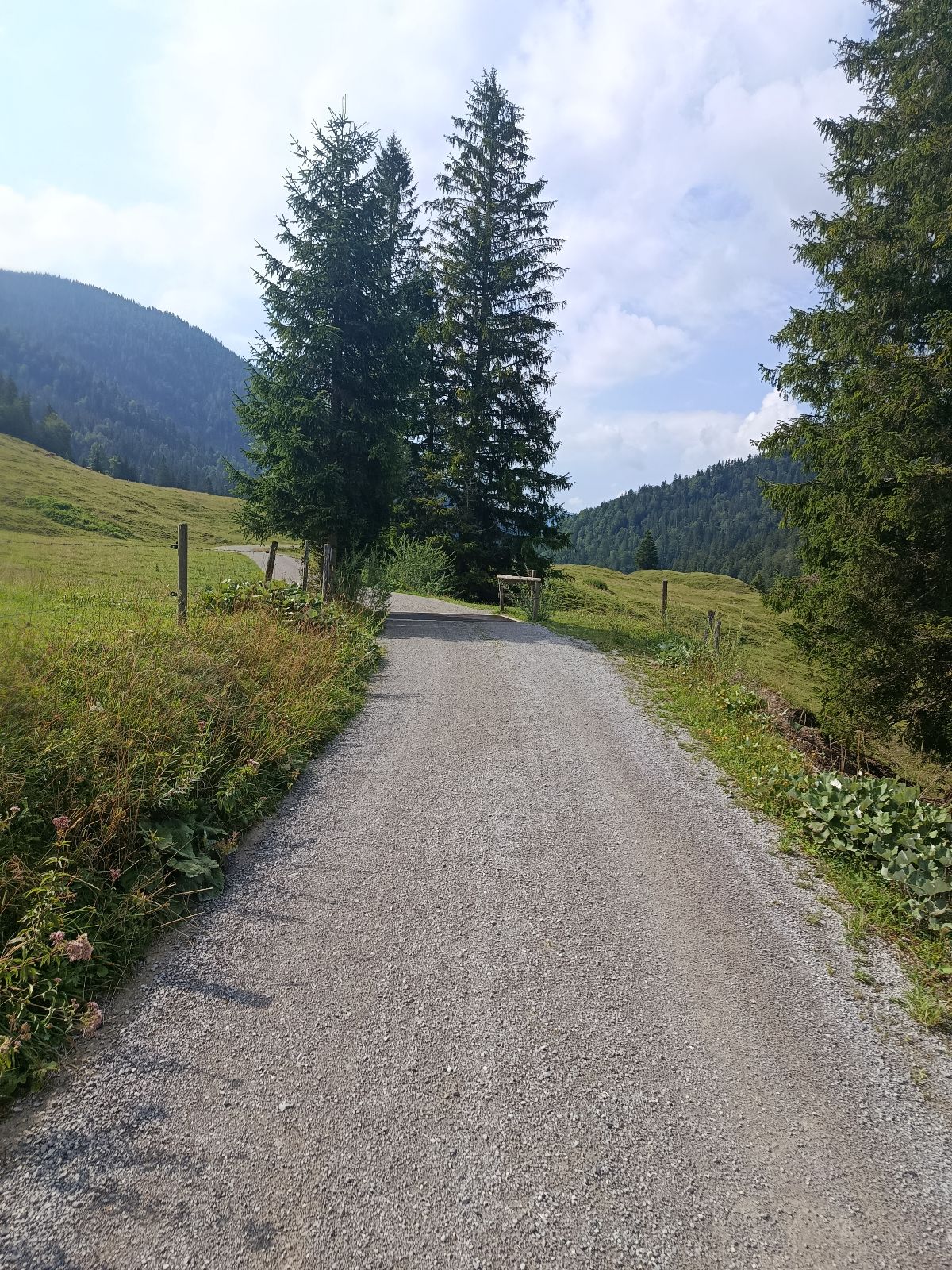 MTB Erz-Herzog-Johann Tour trail photo 3