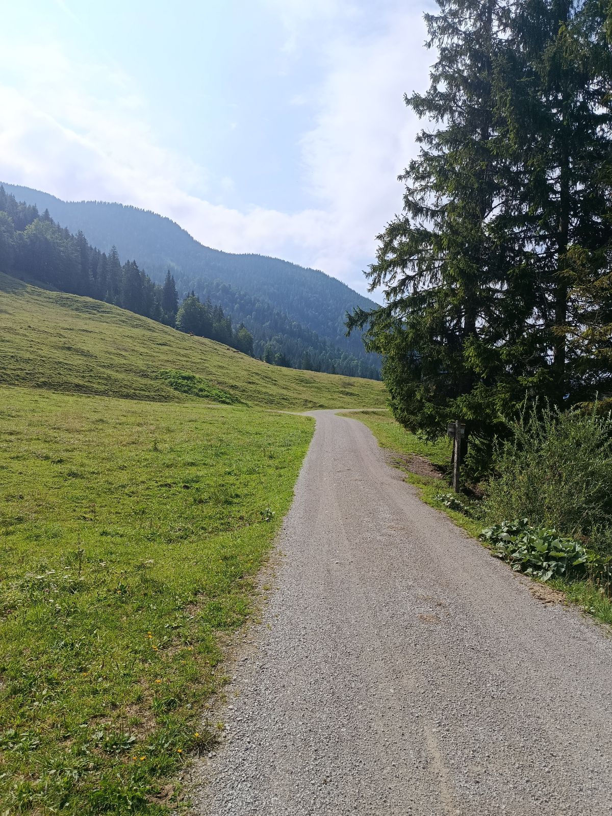 MTB Erz-Herzog-Johann Tour trail photo 5
