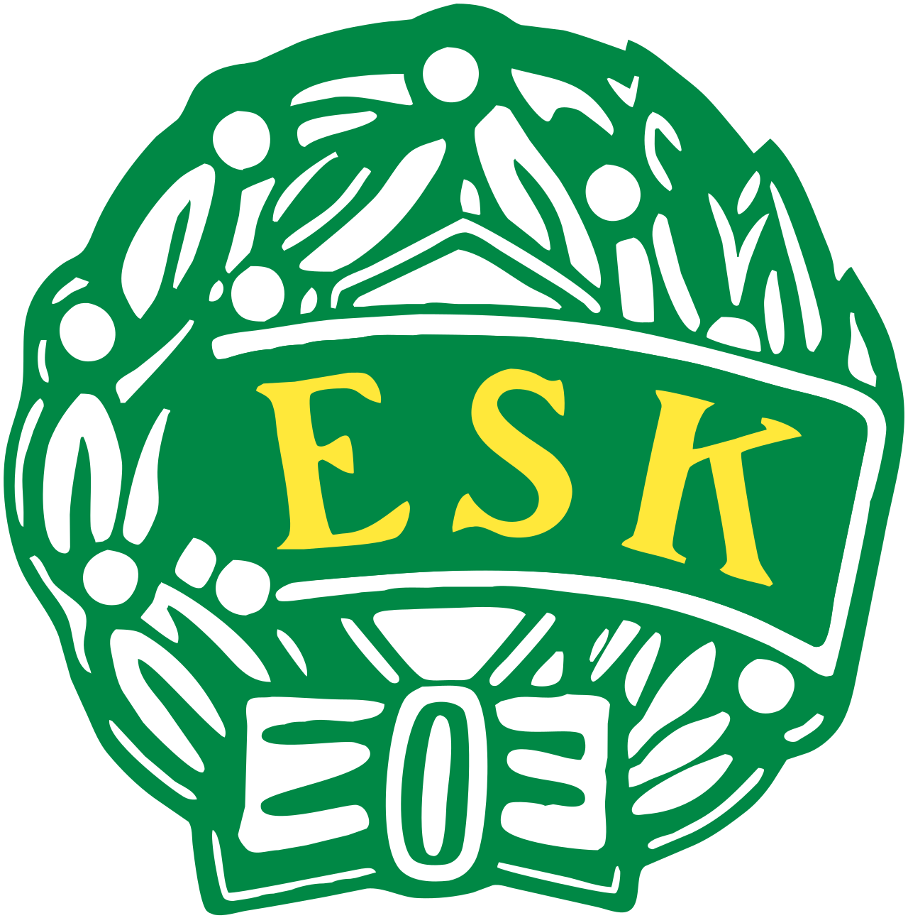 Enköping SK FK U13 Logo