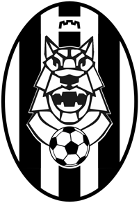 VFA Geležinis vilkas logo