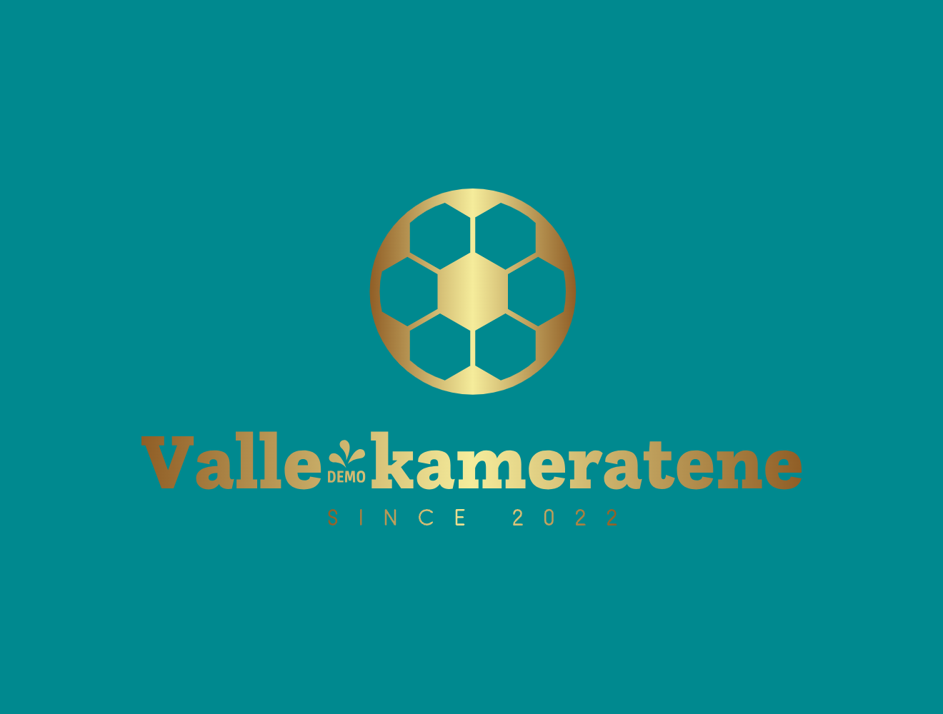 Valle-kameratene  logo
