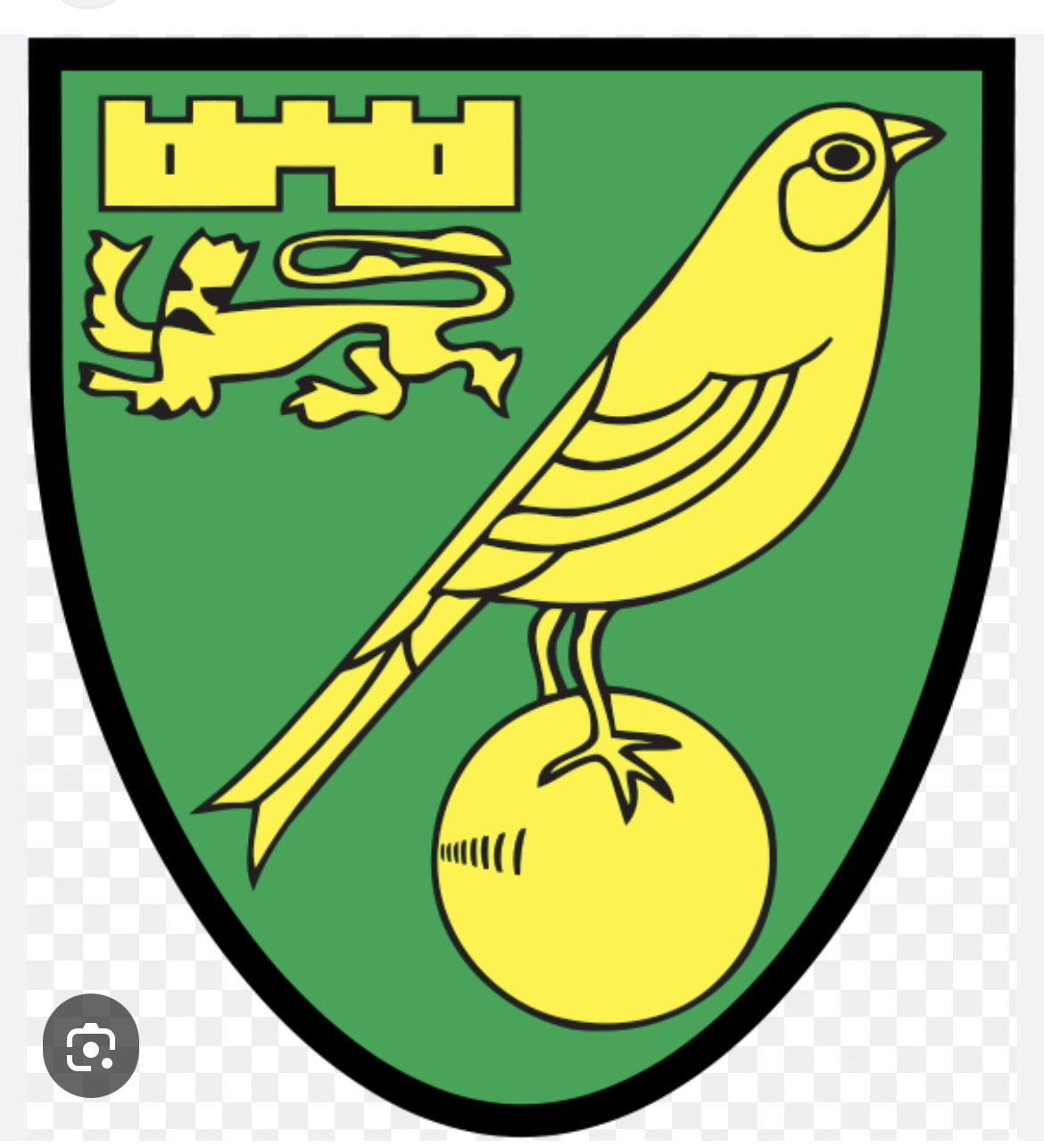 Norwich City logo