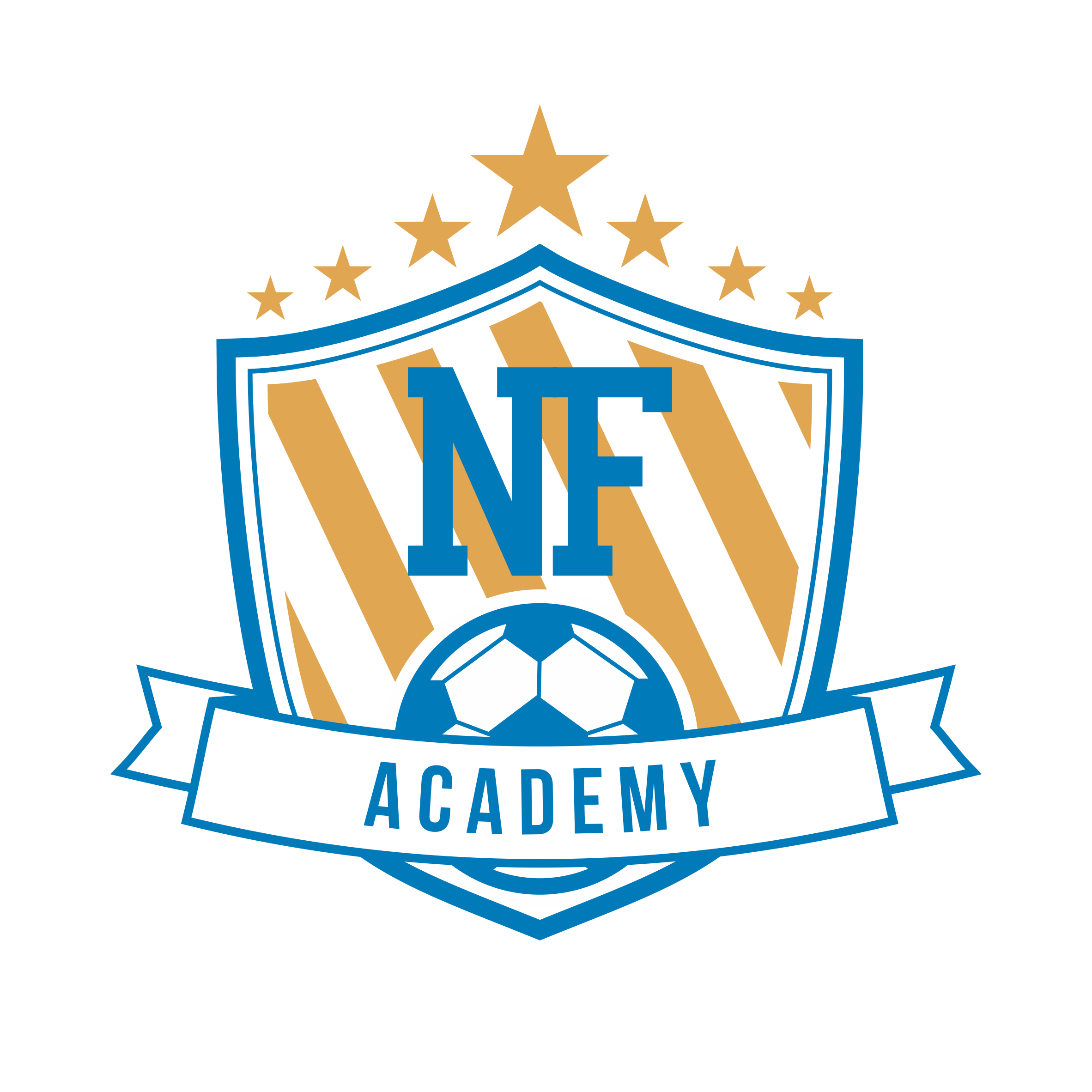 NF Academy Logo