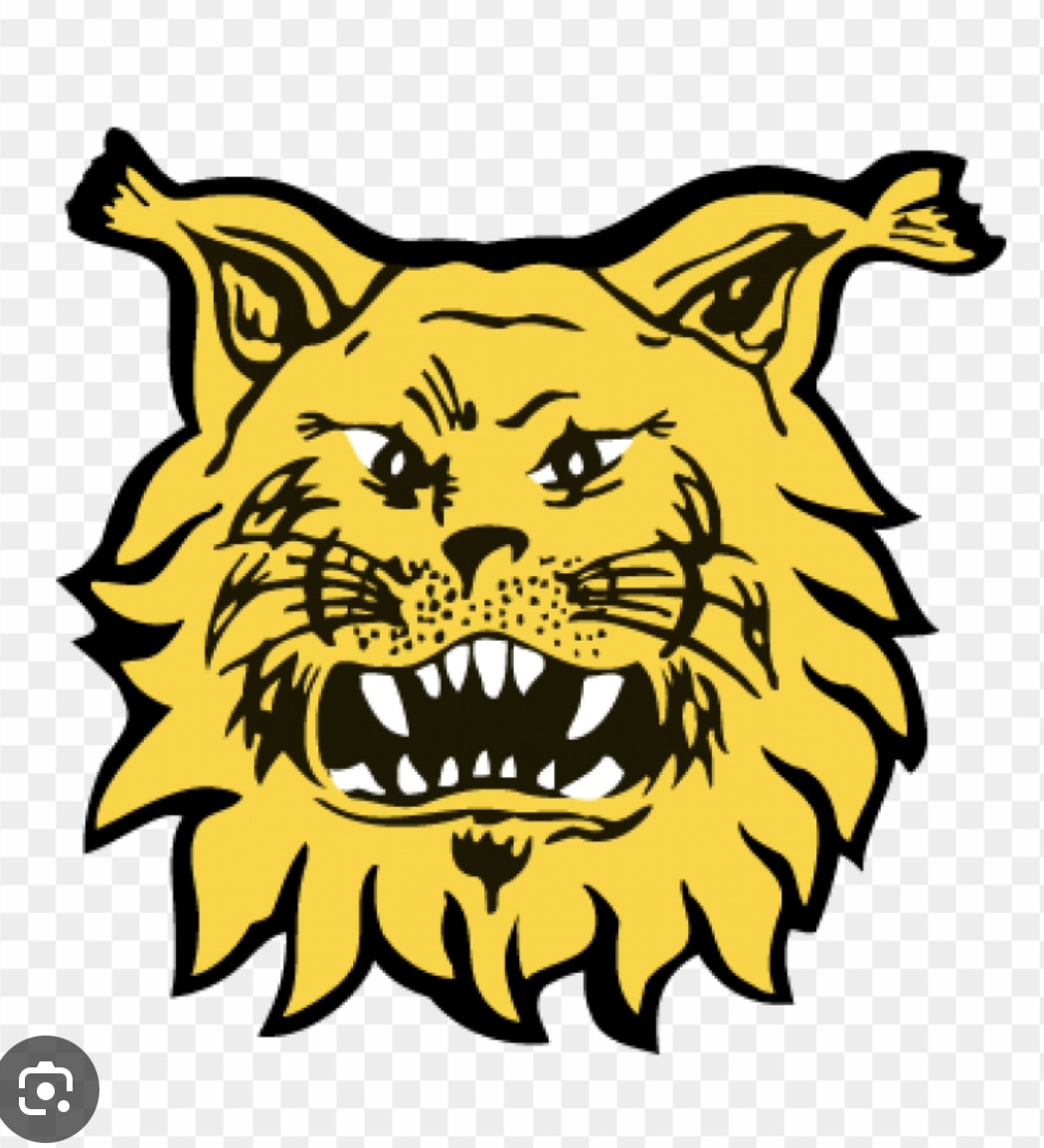 Ilves  Logo