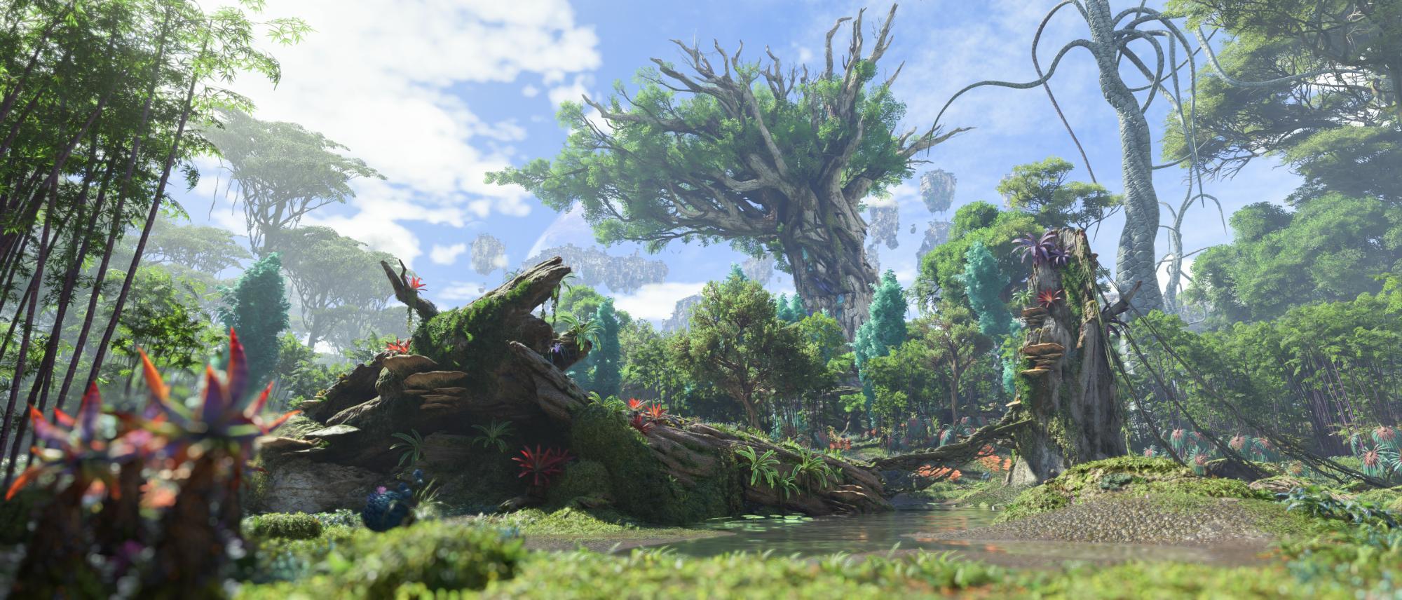 Image made by Rimaeternax