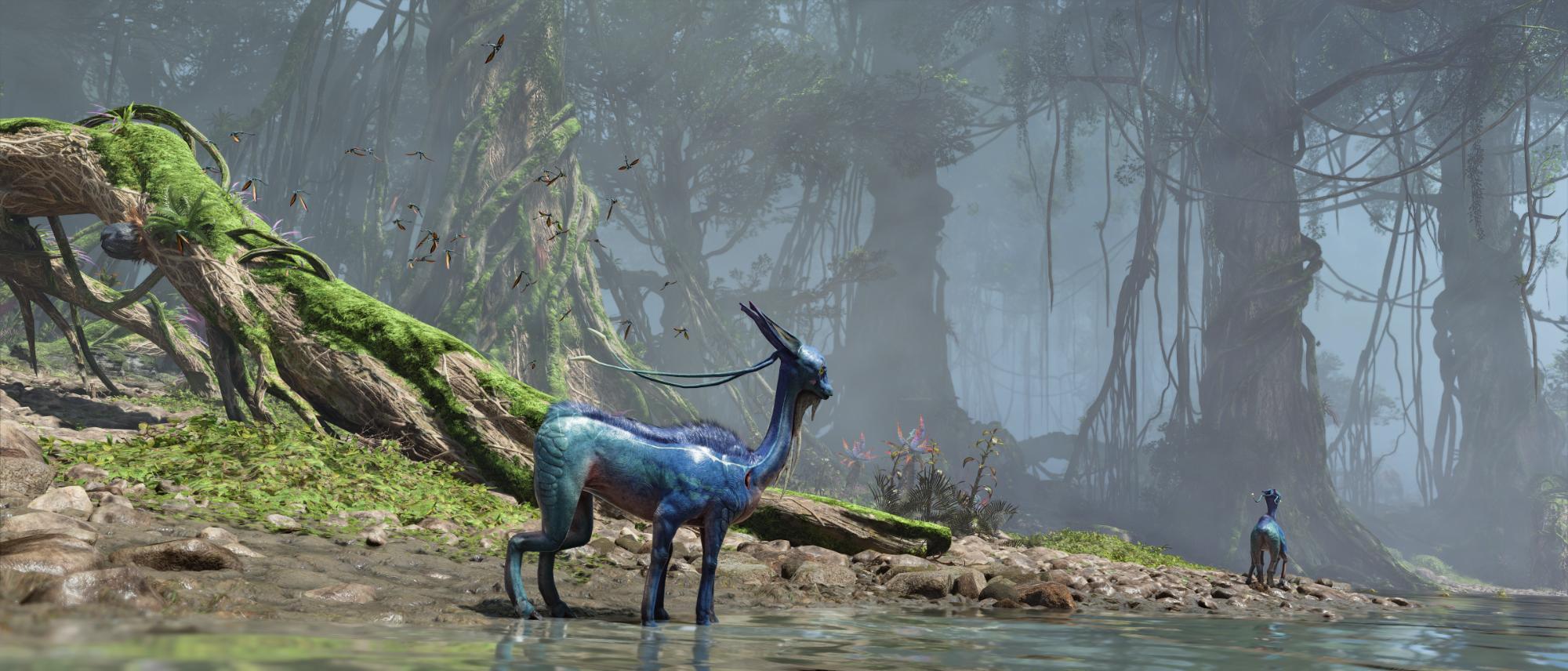 Image made by Rimaeternax
