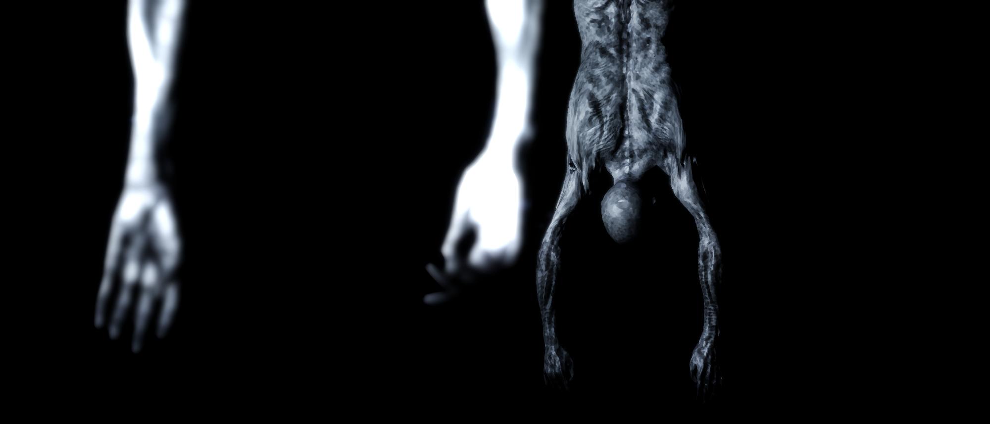 Image made by Rimaeternax