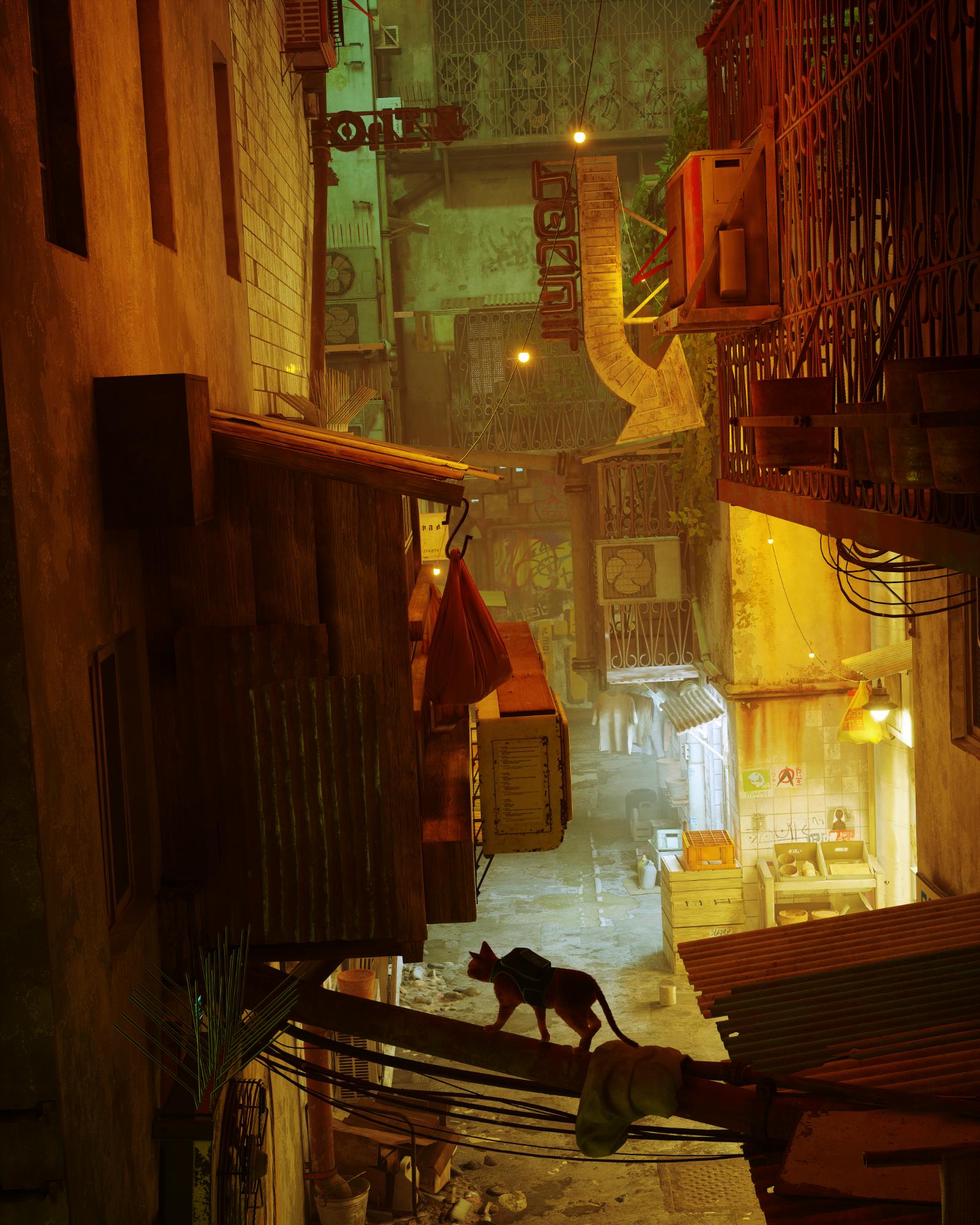 STRAY