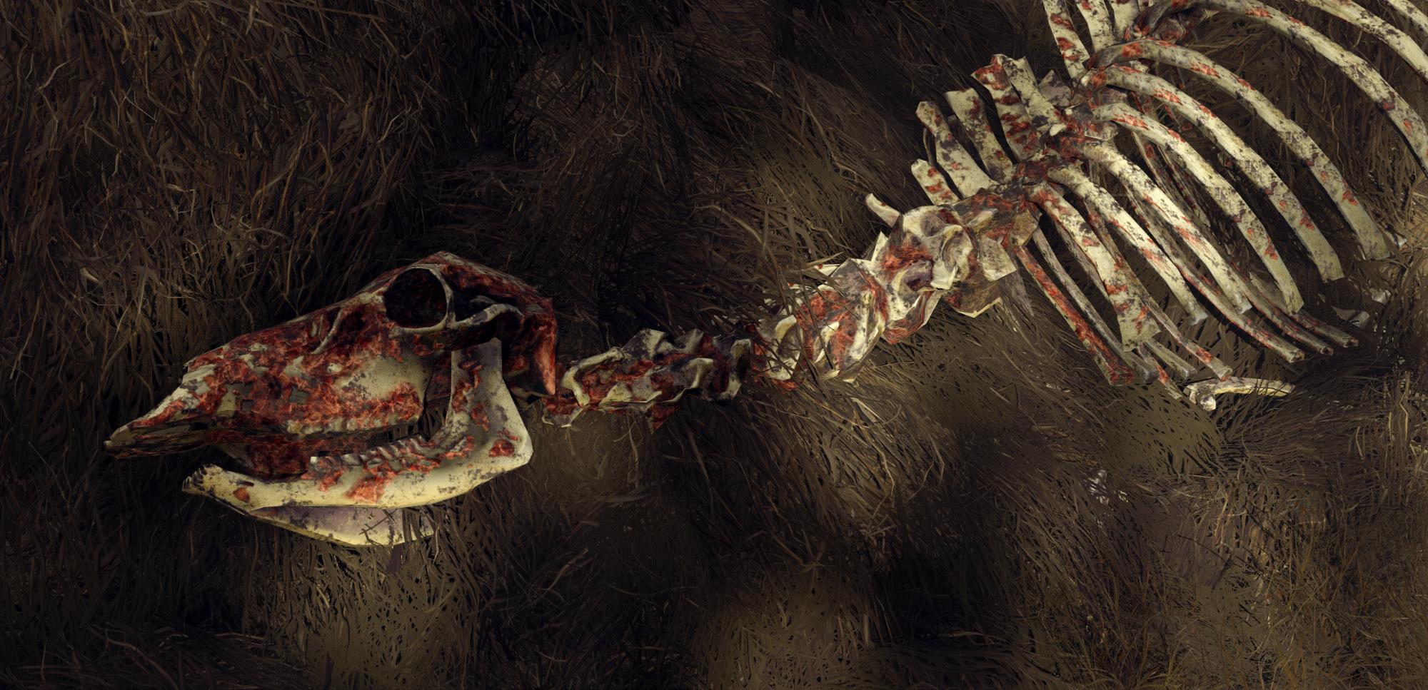 Image made by Rimaeternax